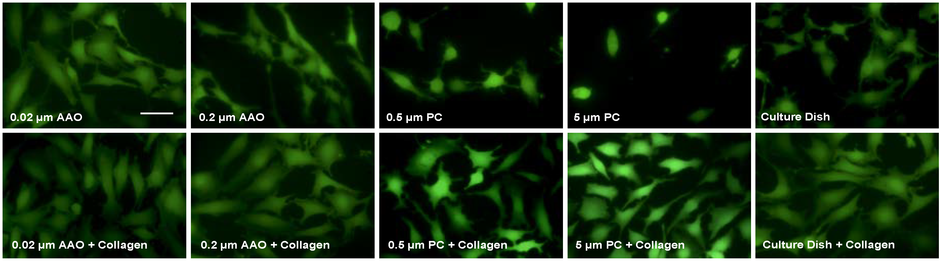 Micromachines 09 00228 g003 Micromachines 09 00228 g003