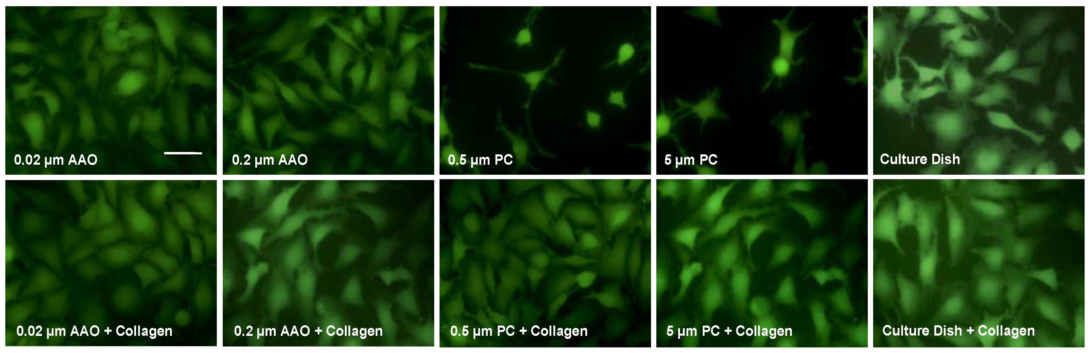 Micromachines 09 00228 g004 Micromachines 09 00228 g004