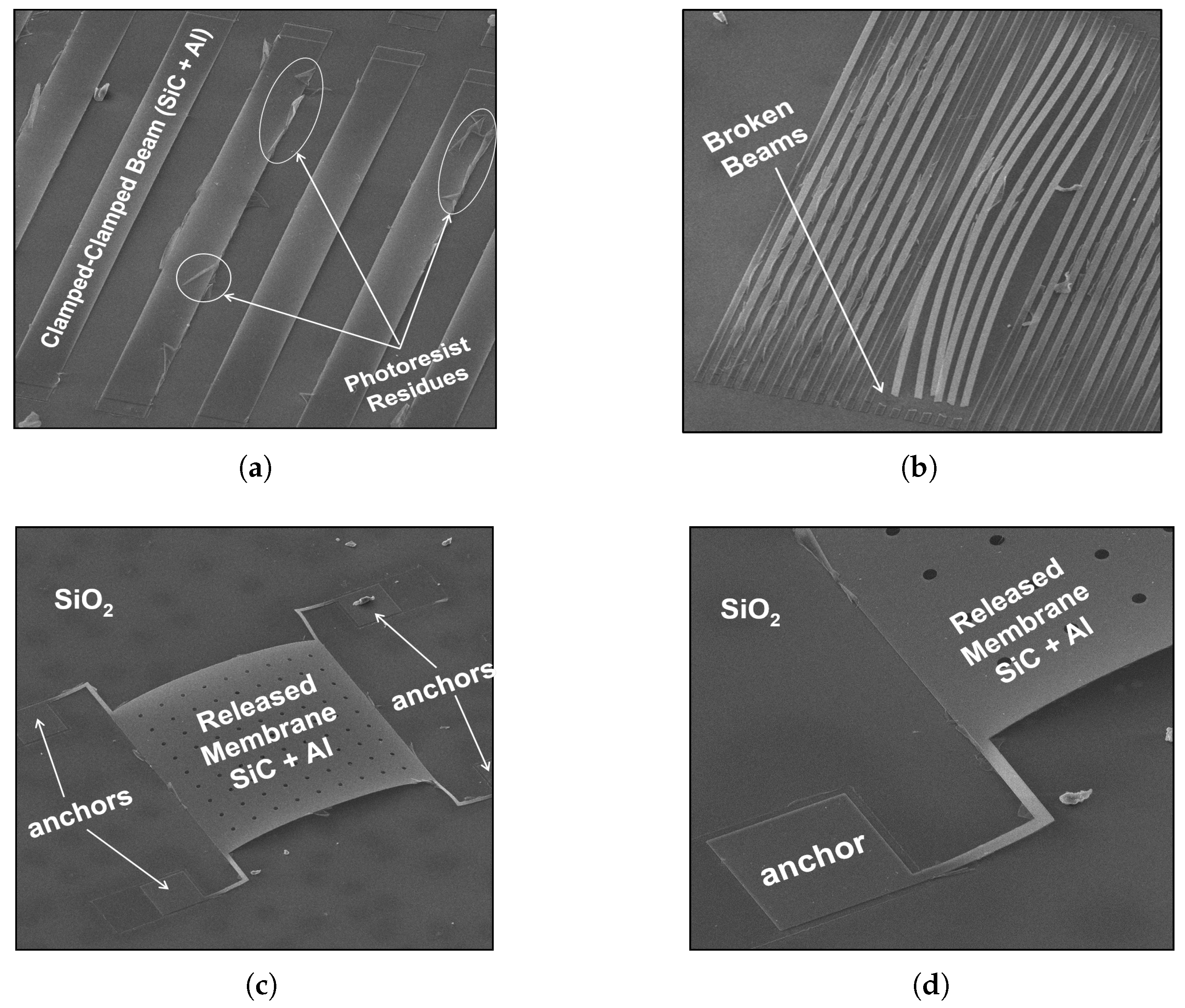 Micromachines 09 00231 g002 550
