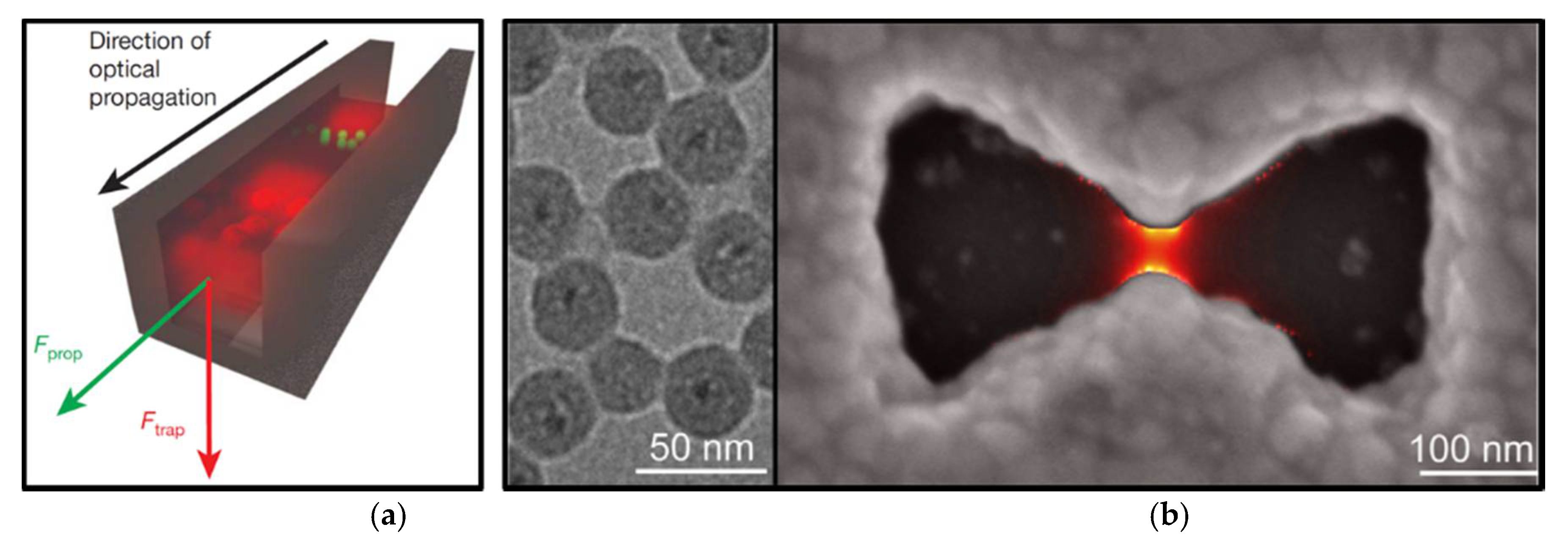 Micromachines 09 00232 g007