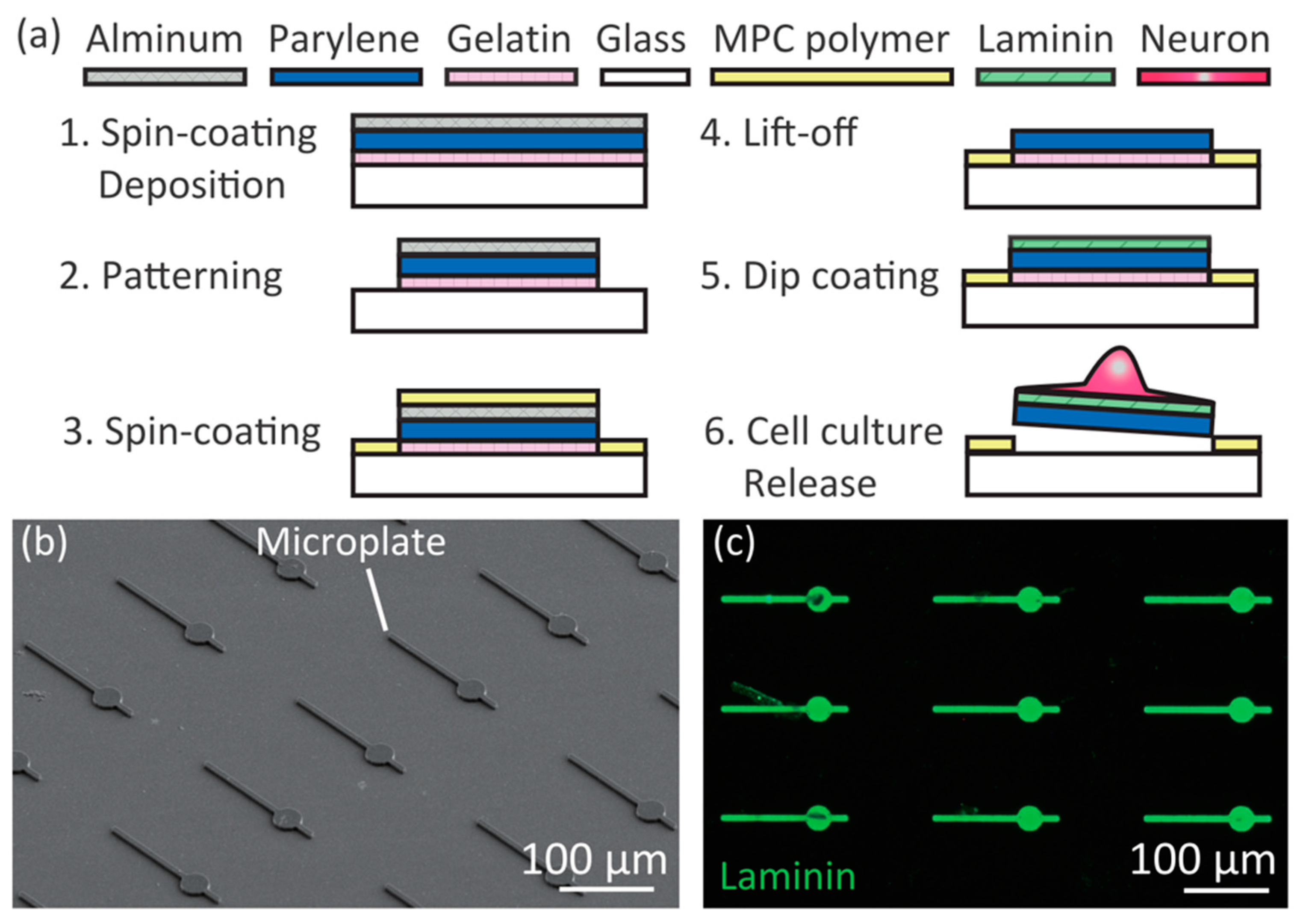 Micromachines 09 00235 g002