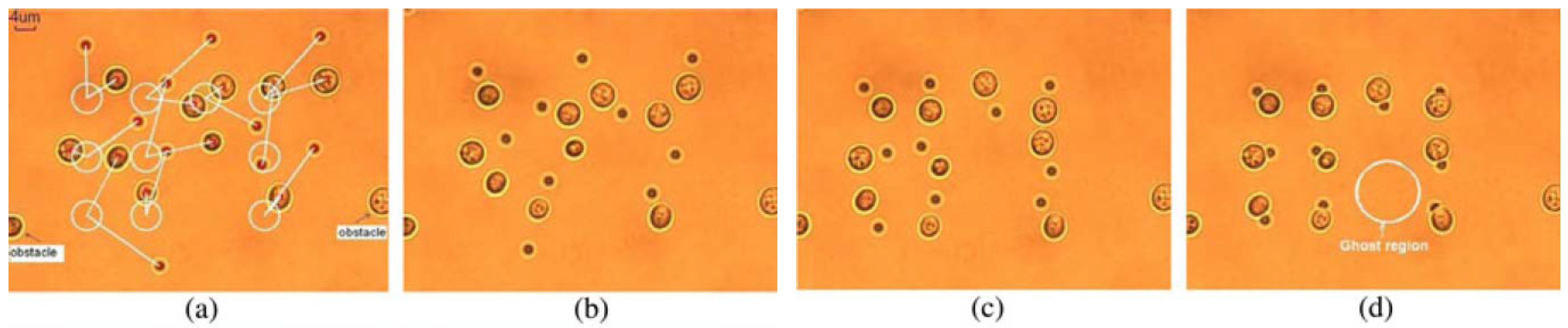 Micromachines 09 00245 g002