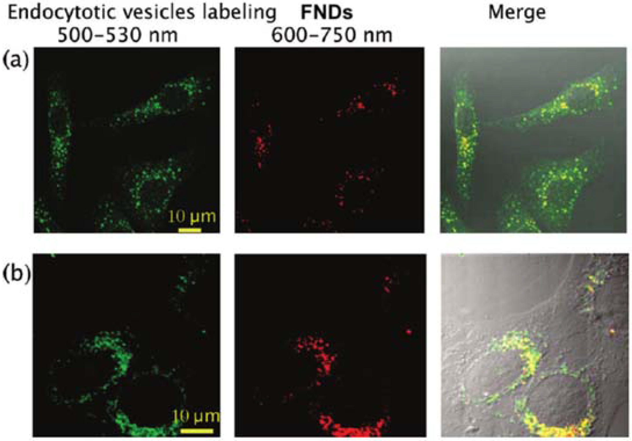 Micromachines 09 00247 g001 Micromachines 09 00247 g001