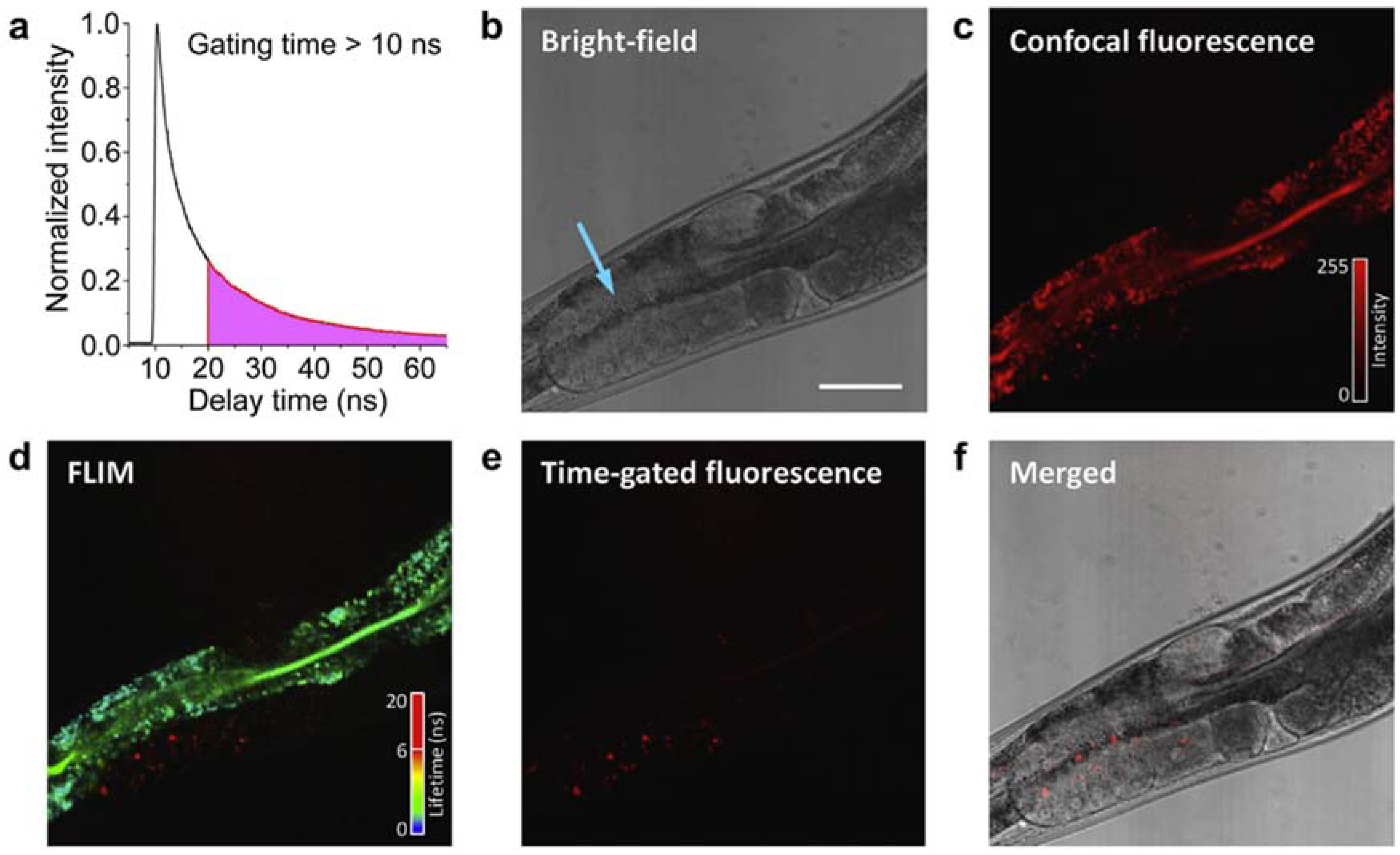 Micromachines 09 00247 g002 Micromachines 09 00247 g002