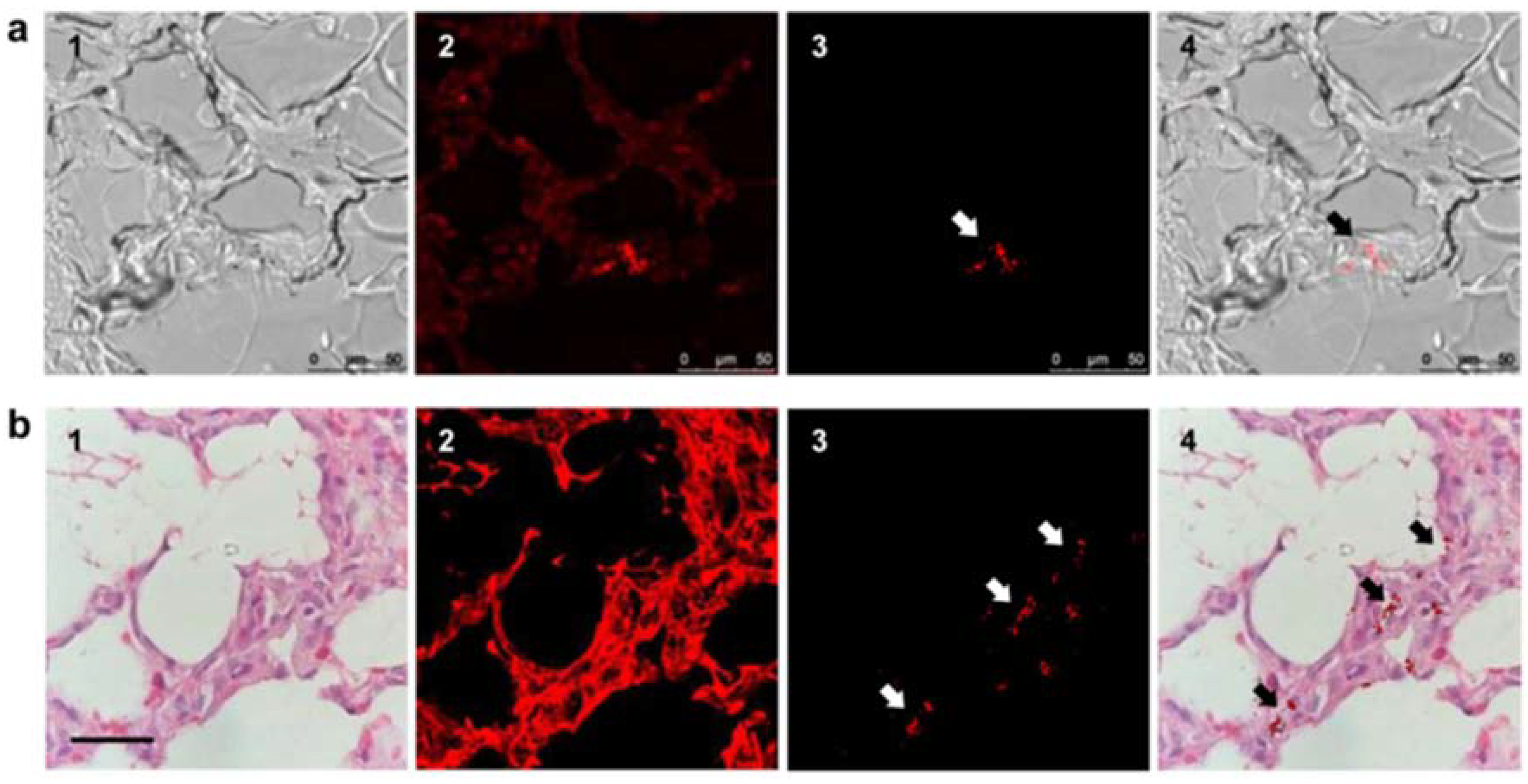 Micromachines 09 00247 g003 Micromachines 09 00247 g003