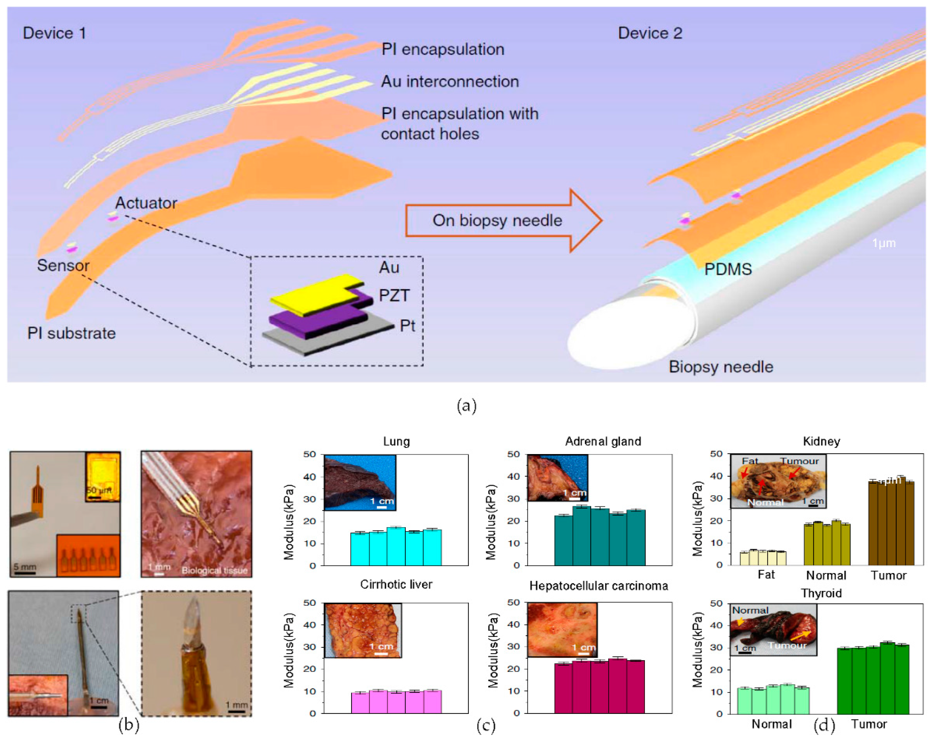 Micromachines 09 00263 g002