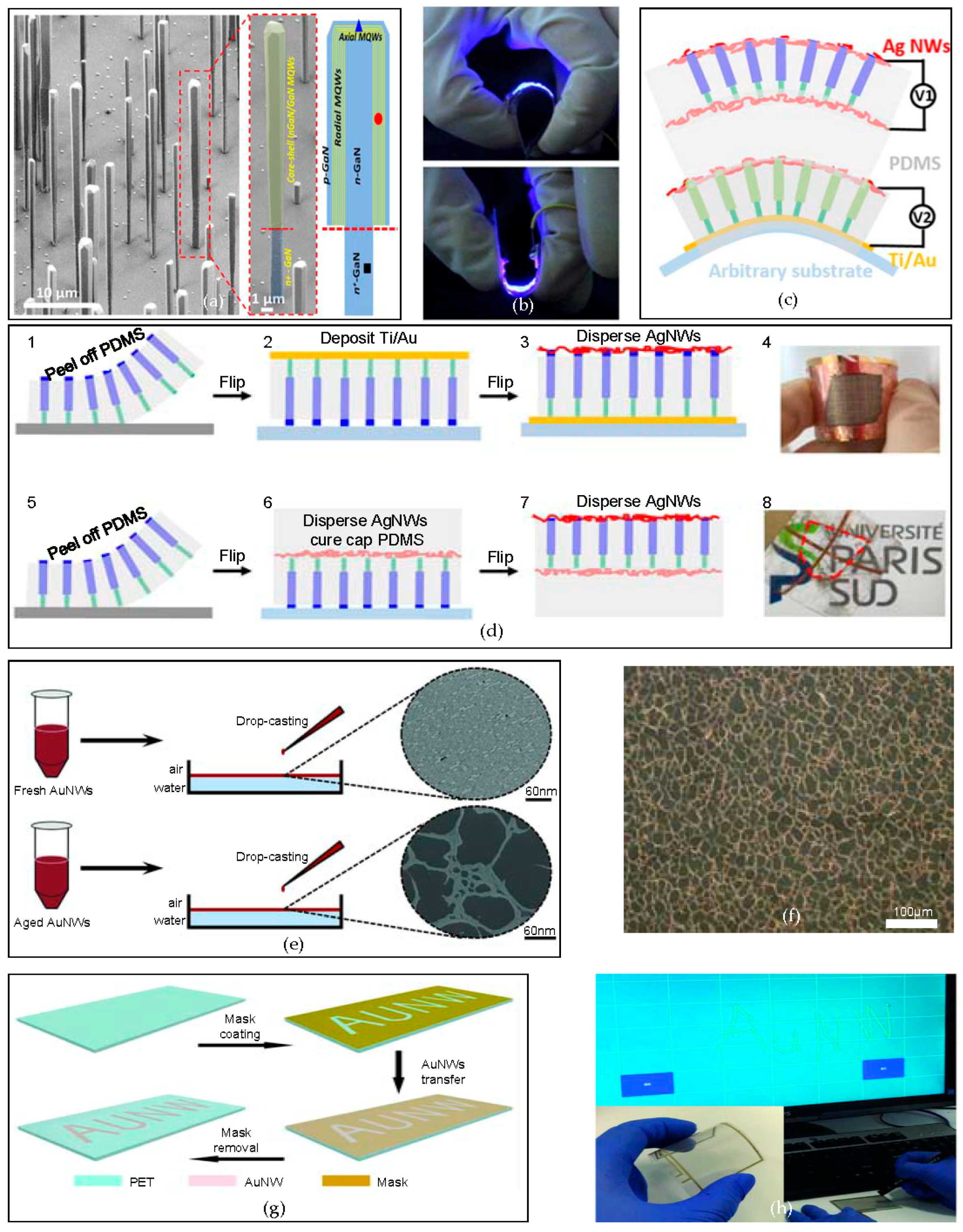 Micromachines 09 00263 g006