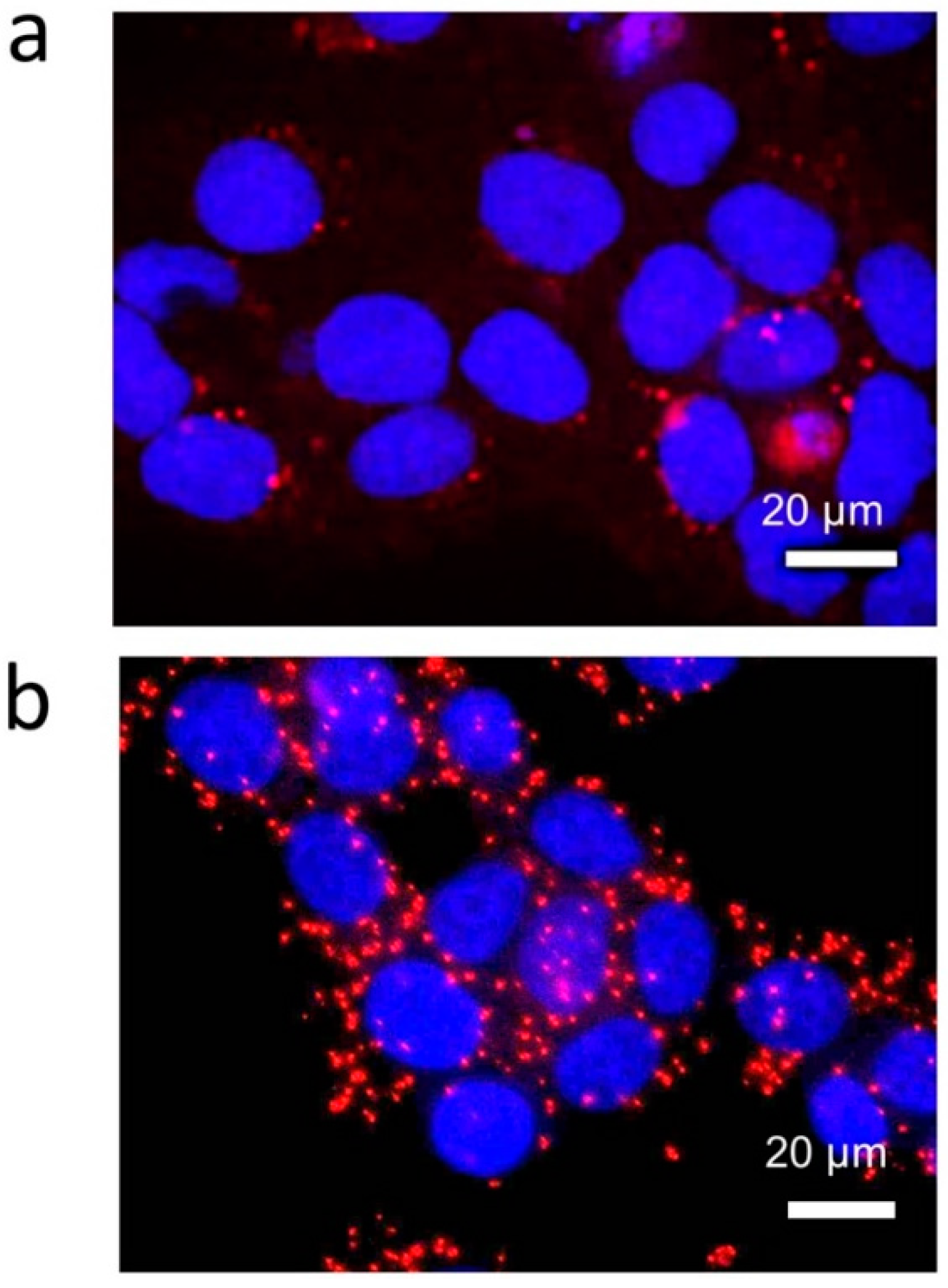 Micromachines 09 00272 g002 550