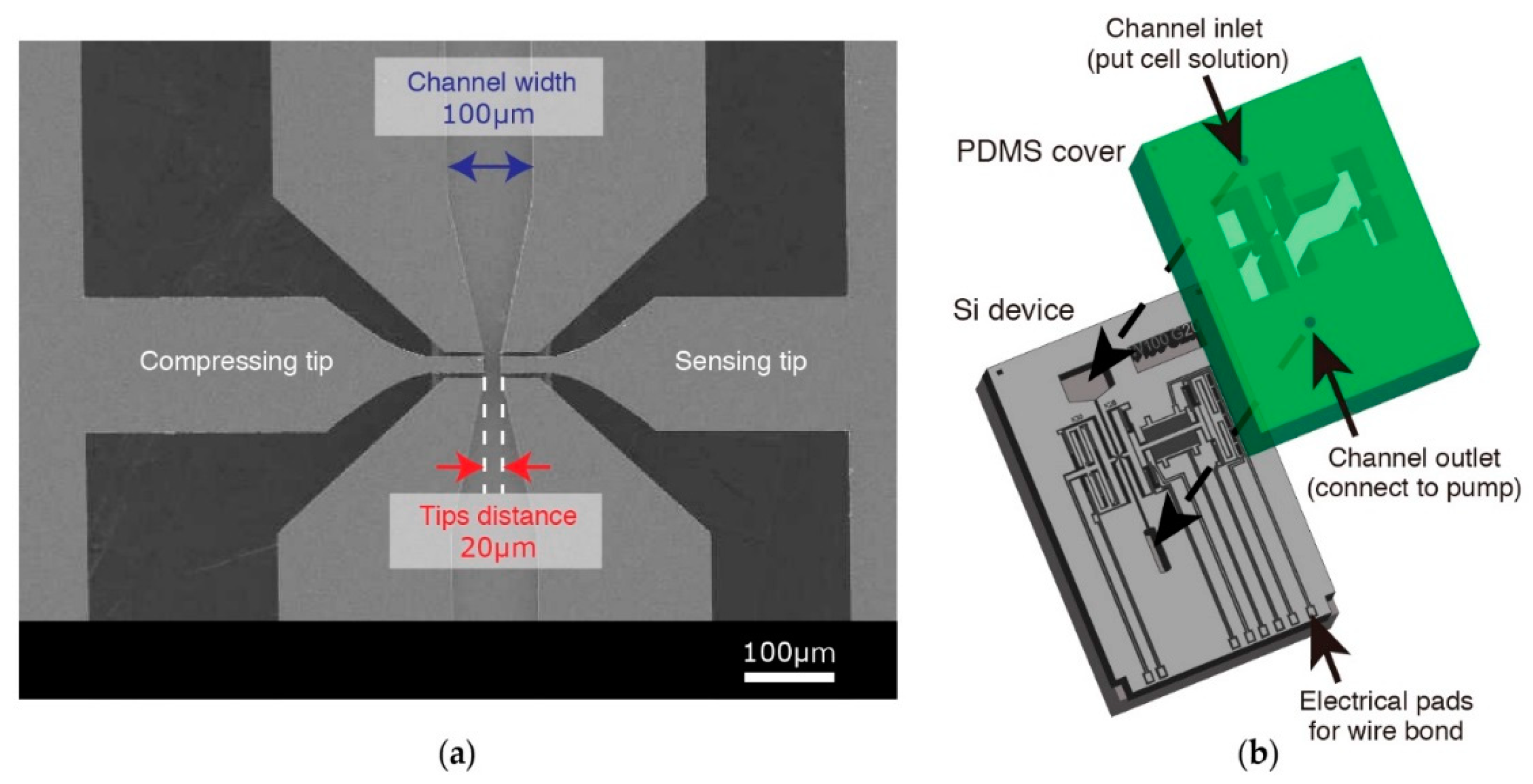 Micromachines 09 00275 g002