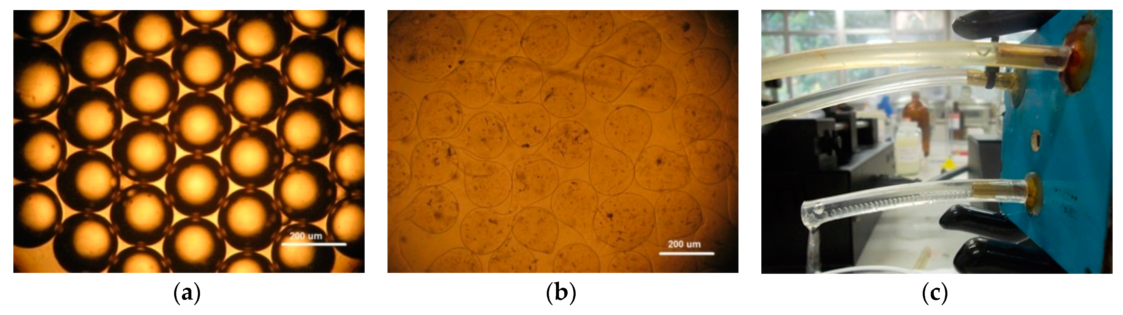 Micromachines 09 00285 g004 Micromachines 09 00285 g004