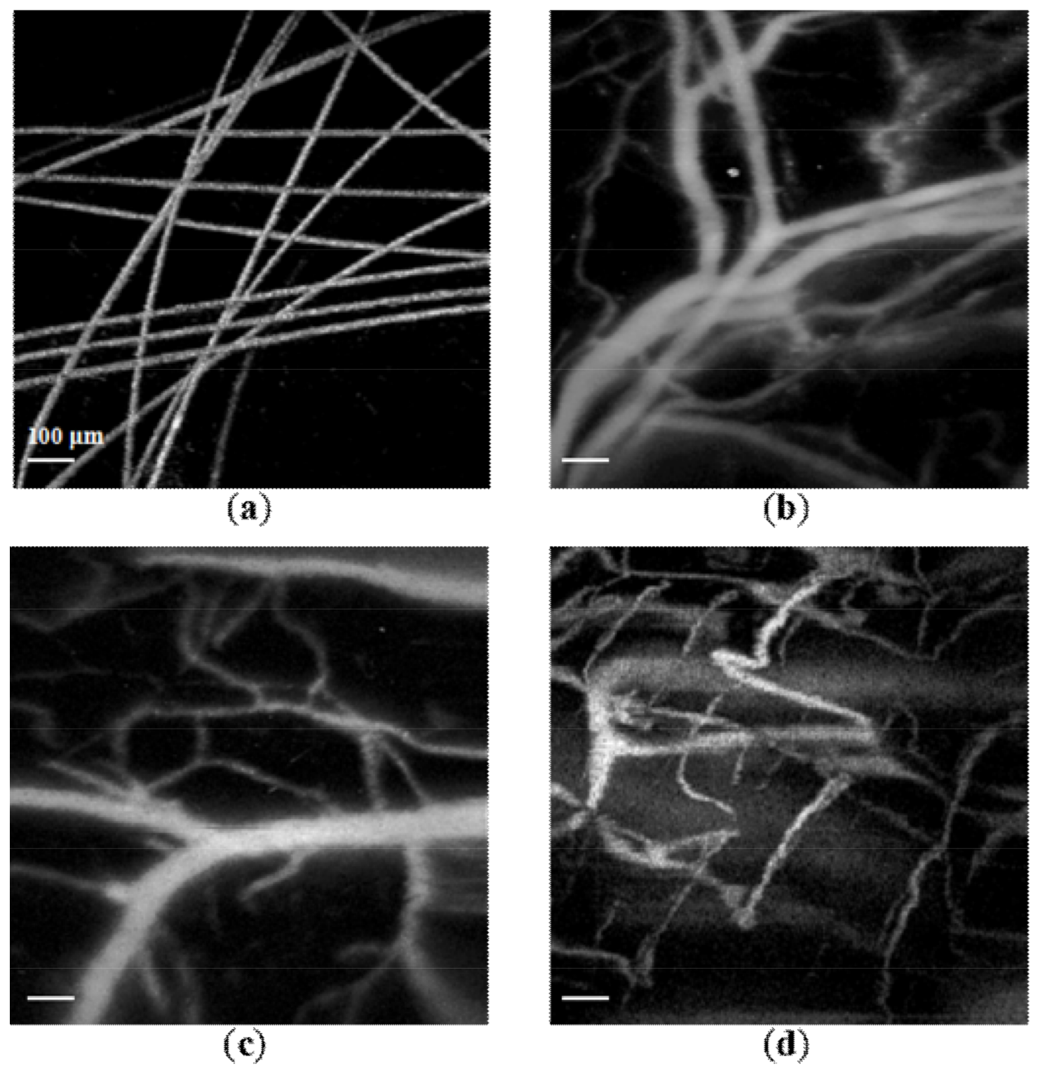 Micromachines 09 00288 g003 Micromachines 09 00288 g003