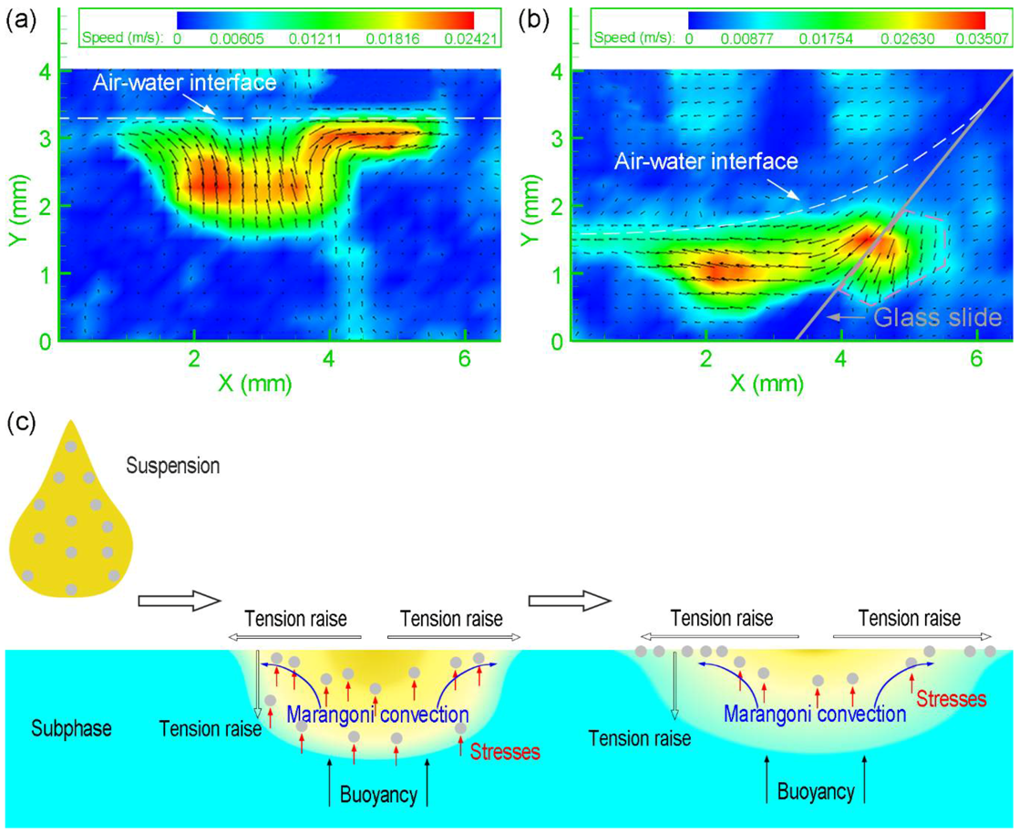 Micromachines 09 00297 g005