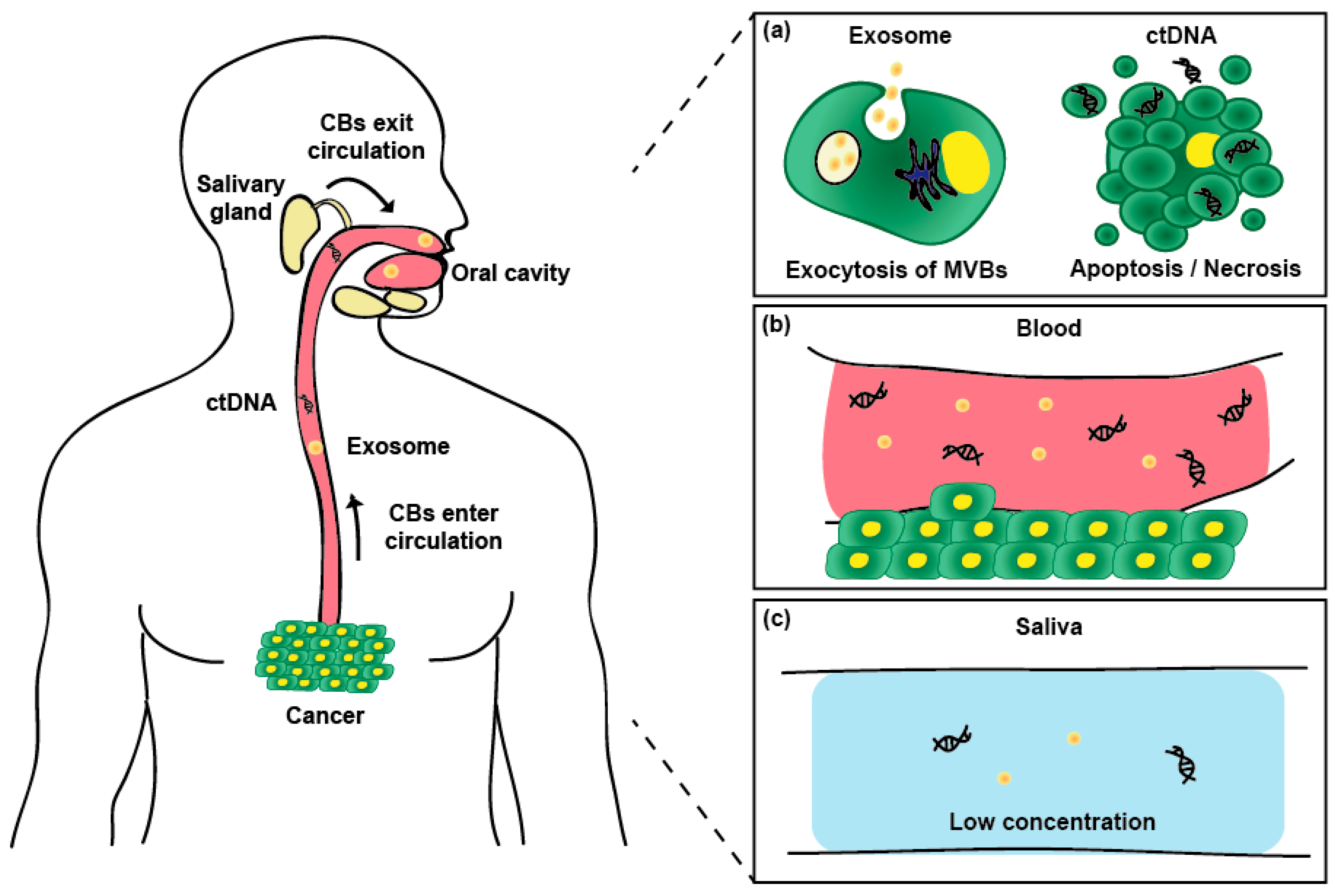 Micromachines 09 00340 g001