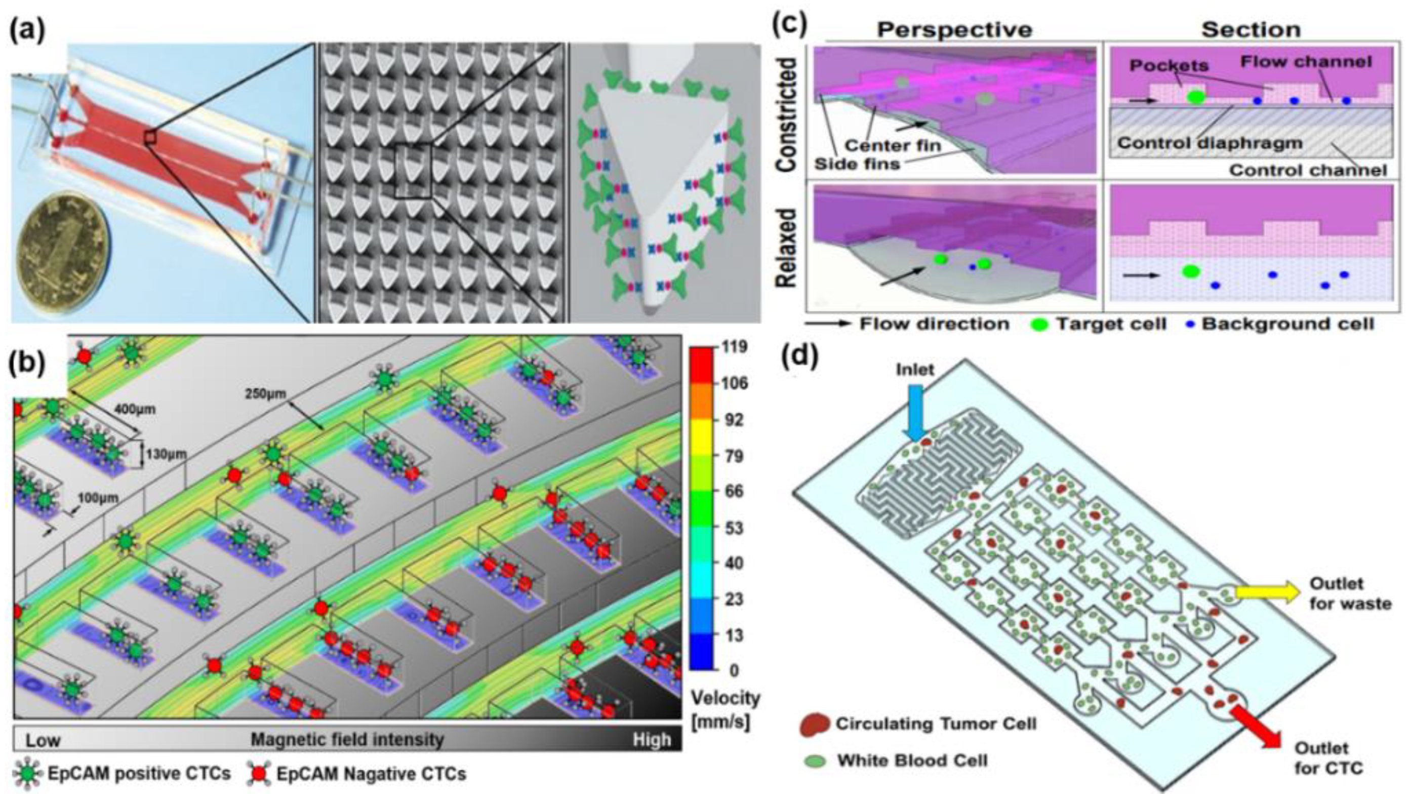Micromachines 09 00353 g003 Micromachines 09 00353 g003