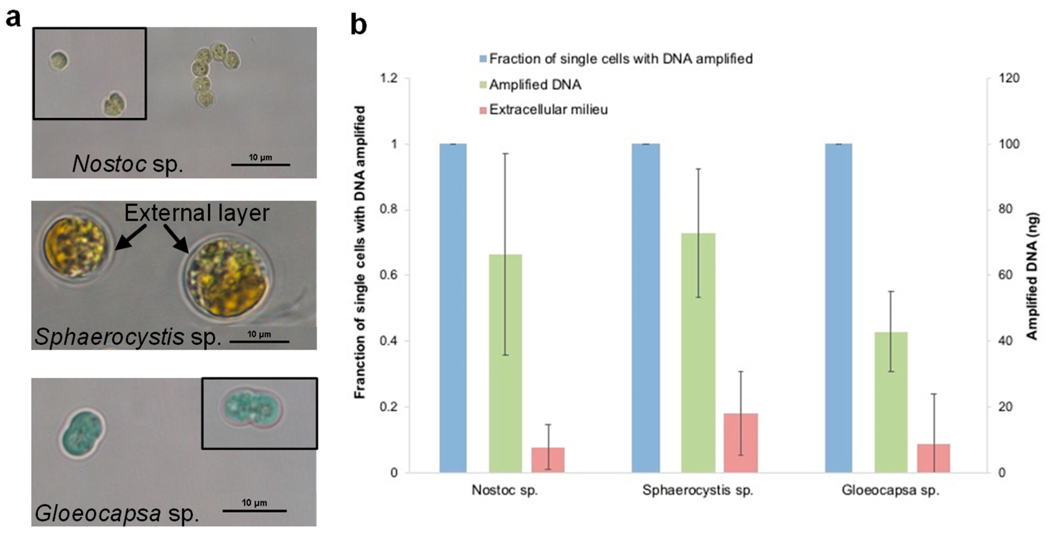Micromachines 09 00367 g009 Micromachines 09 00367 g009