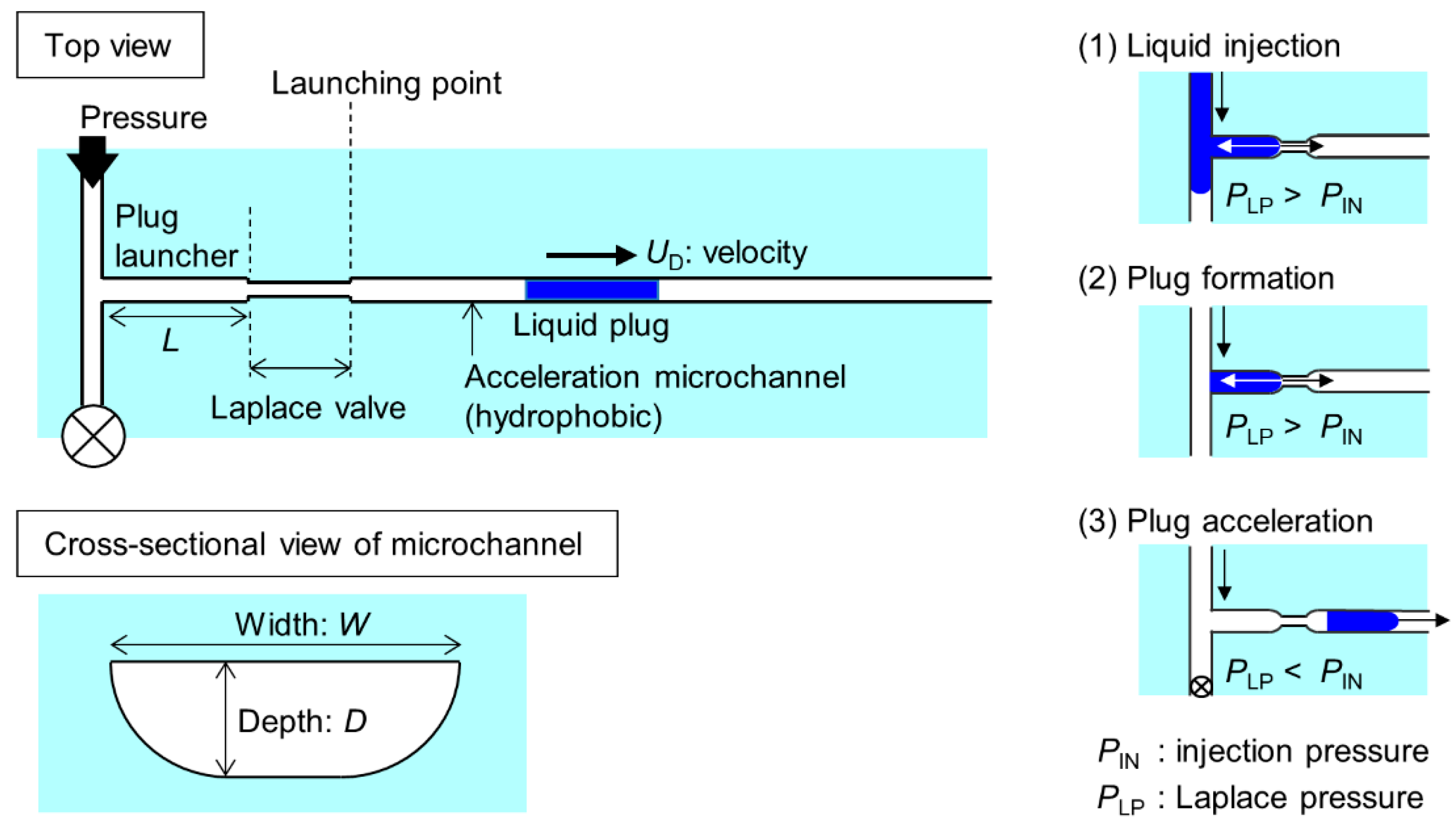 Micromachines Free Full Text Transport Of A Micro Liquid Plug In A Gas Phase Flow In A Microchannel Html