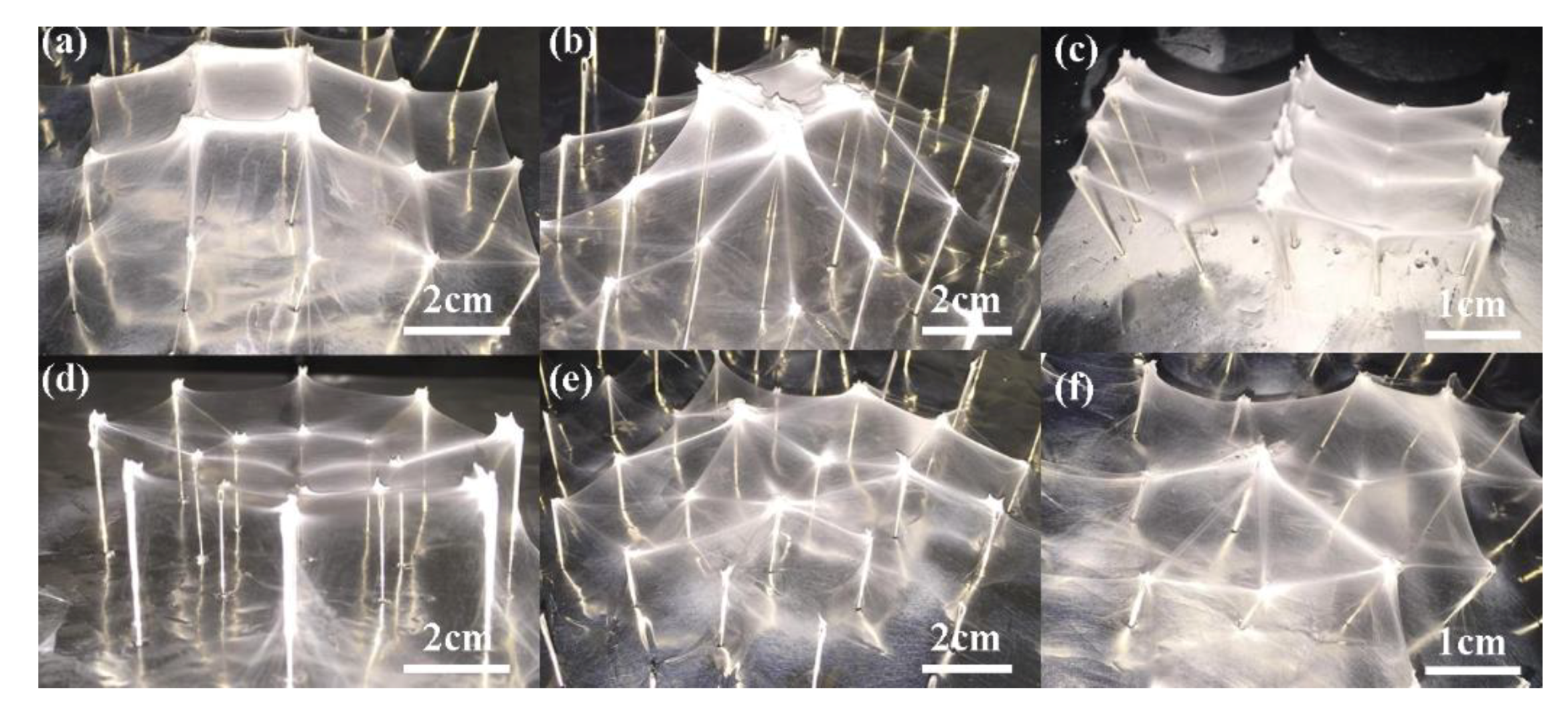 Micromachines 09 00427 g009