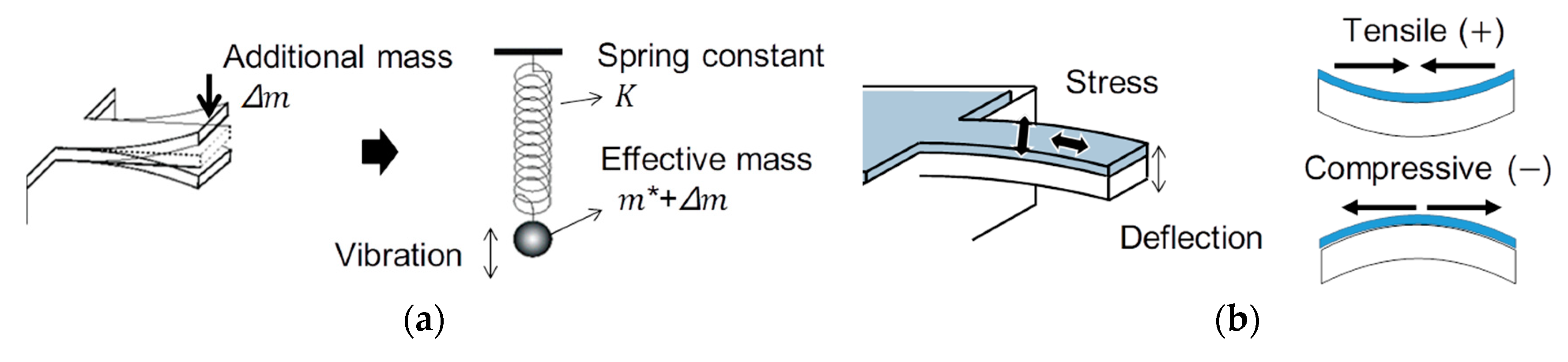 Corrosion Mechanism Investigations