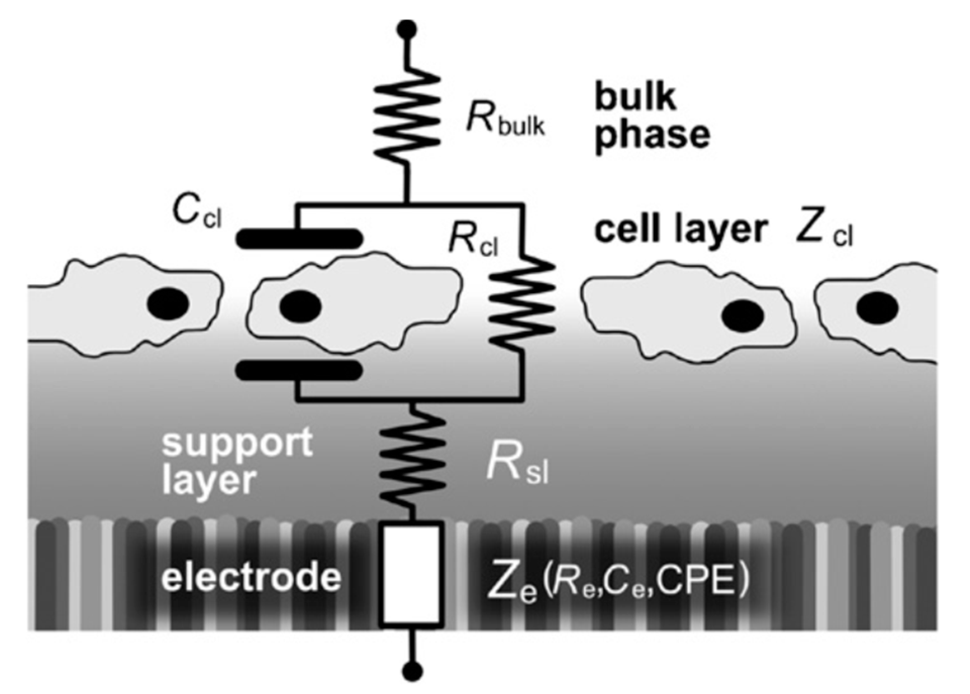 Micromachines 09 00439 g005 Micromachines 09 00439 g005