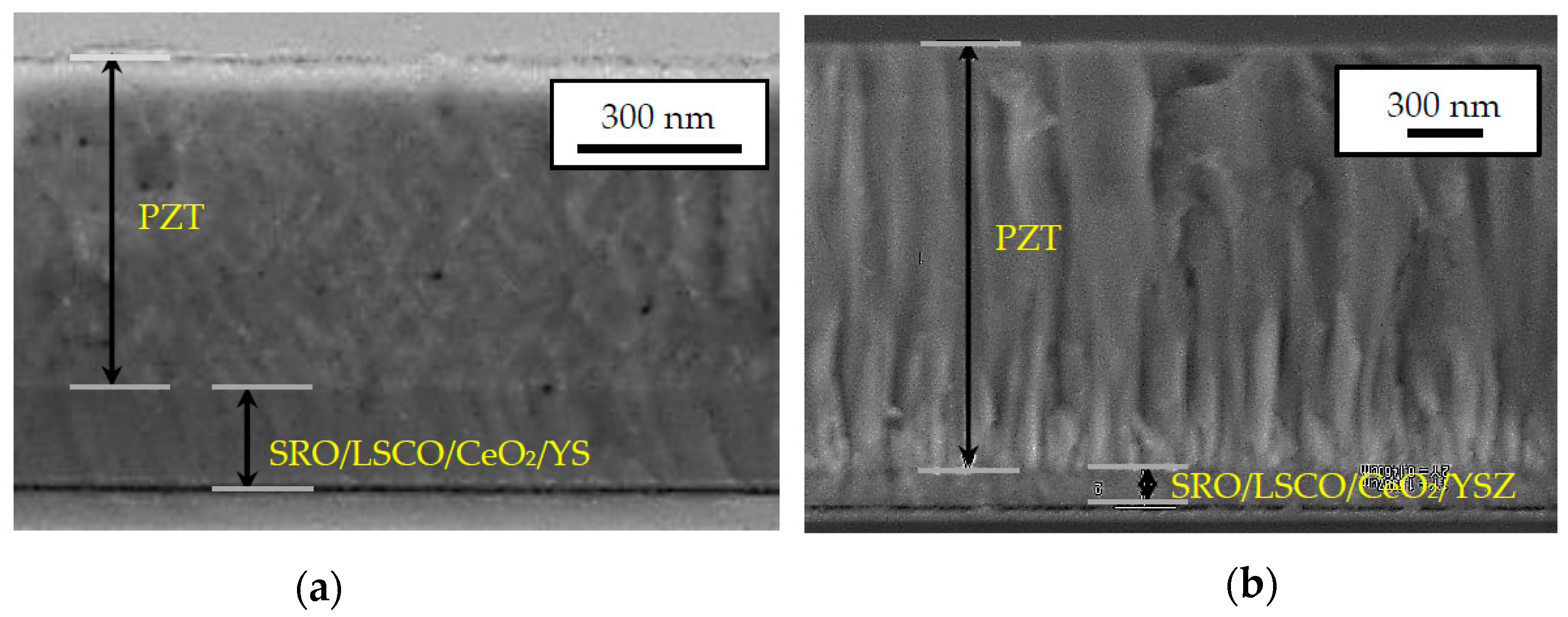 Micromachines 09 00455 g003 550
