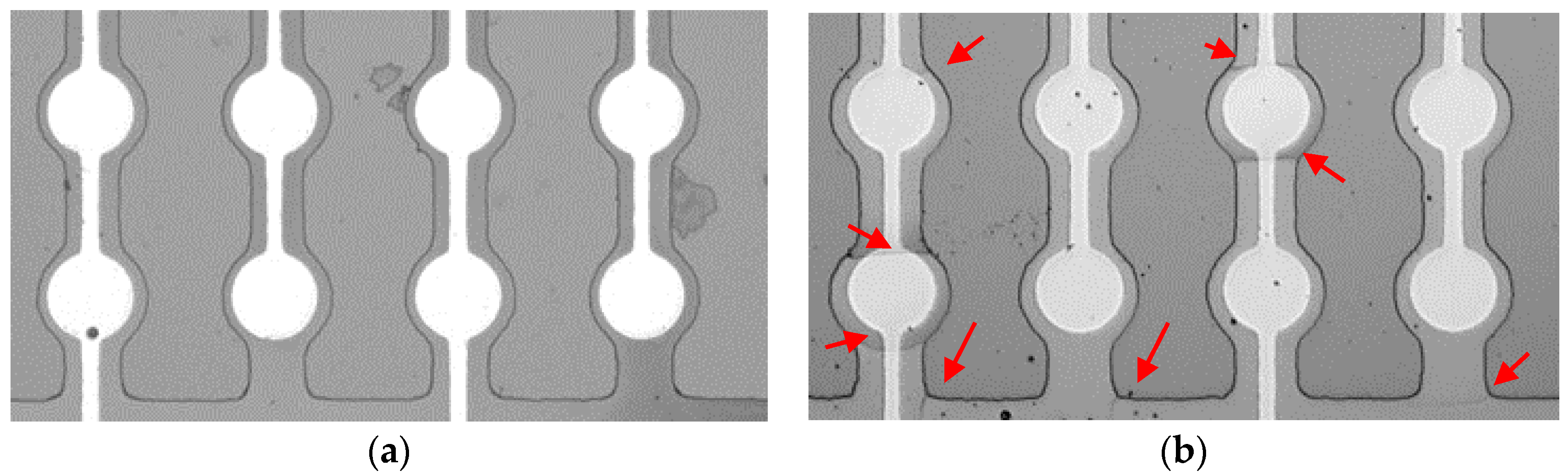 Micromachines 09 00455 g010 550