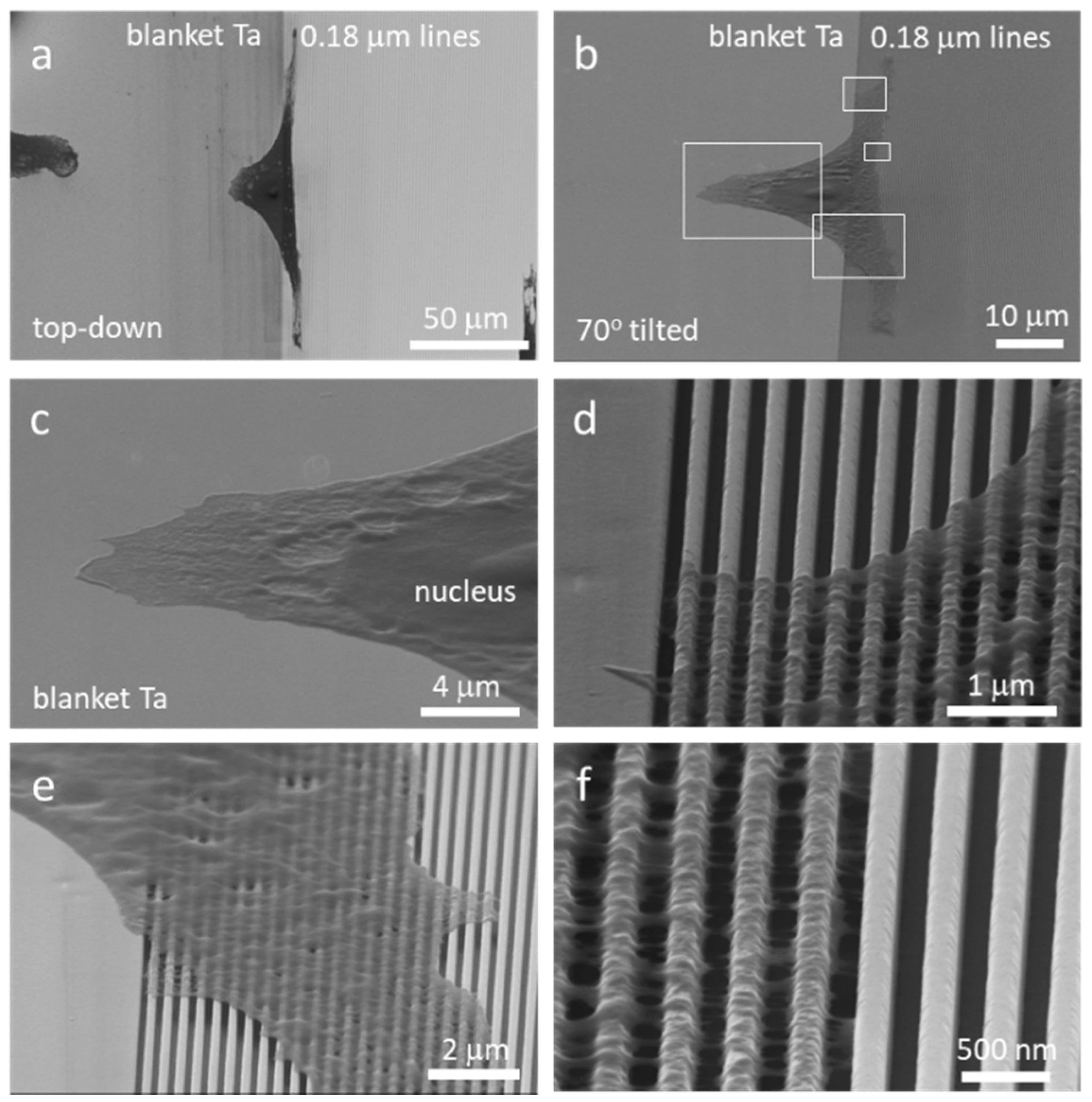 Micromachines 09 00464 g009
