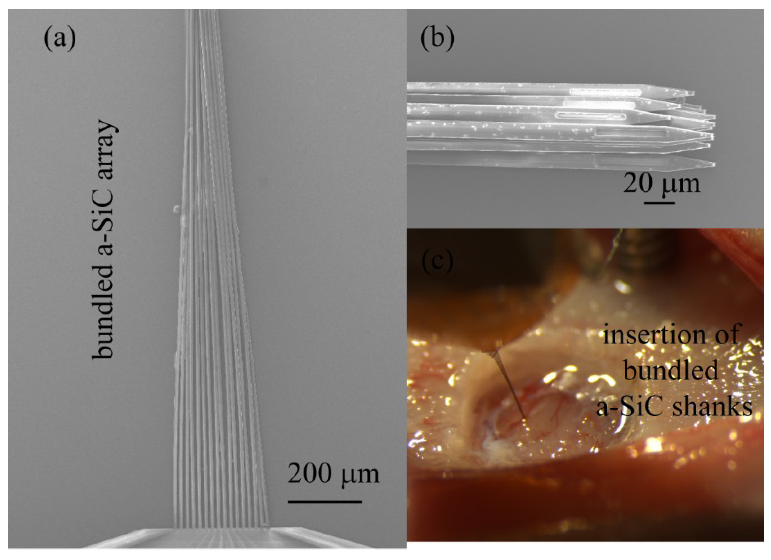 Micromachines 09 00480 g004 Micromachines 09 00480 g004