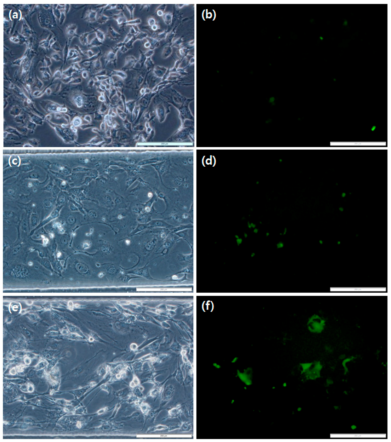 Micromachines 09 00482 g006