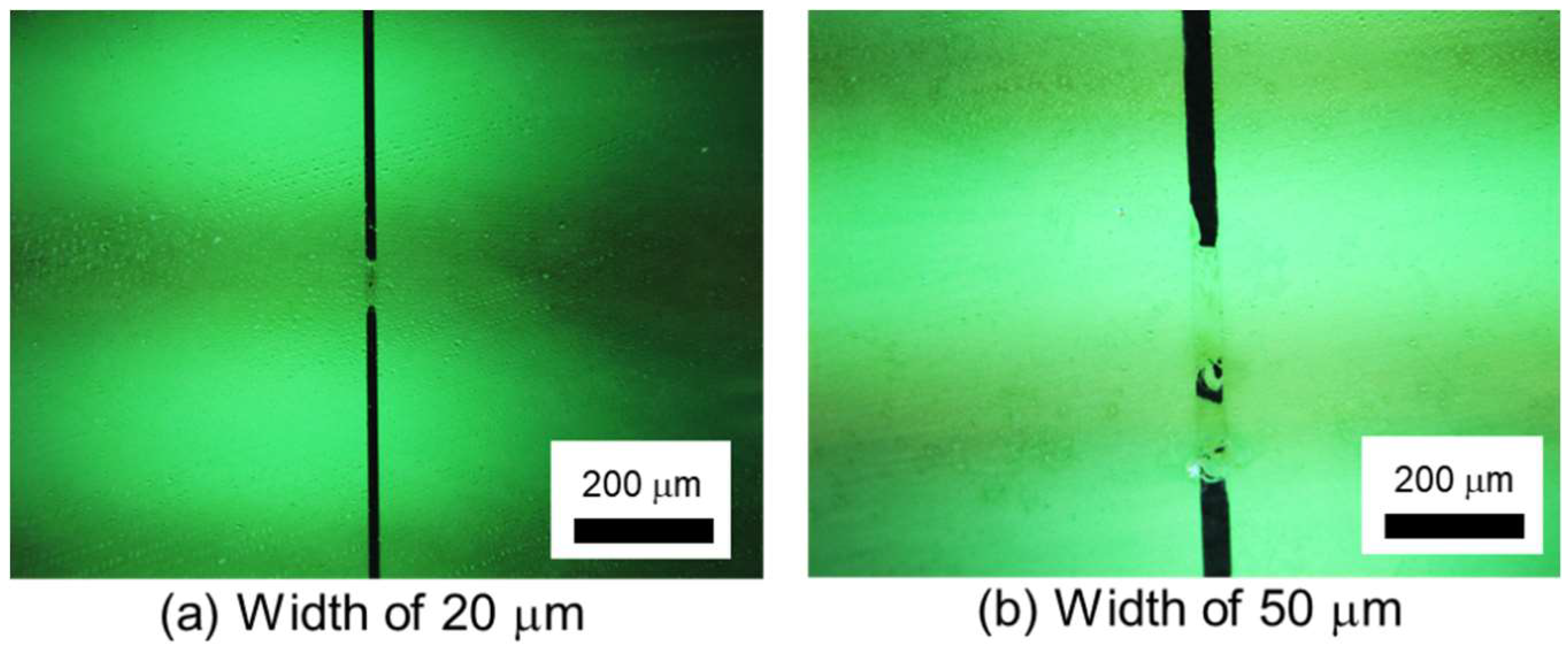 Micromachines 09 00483 g006