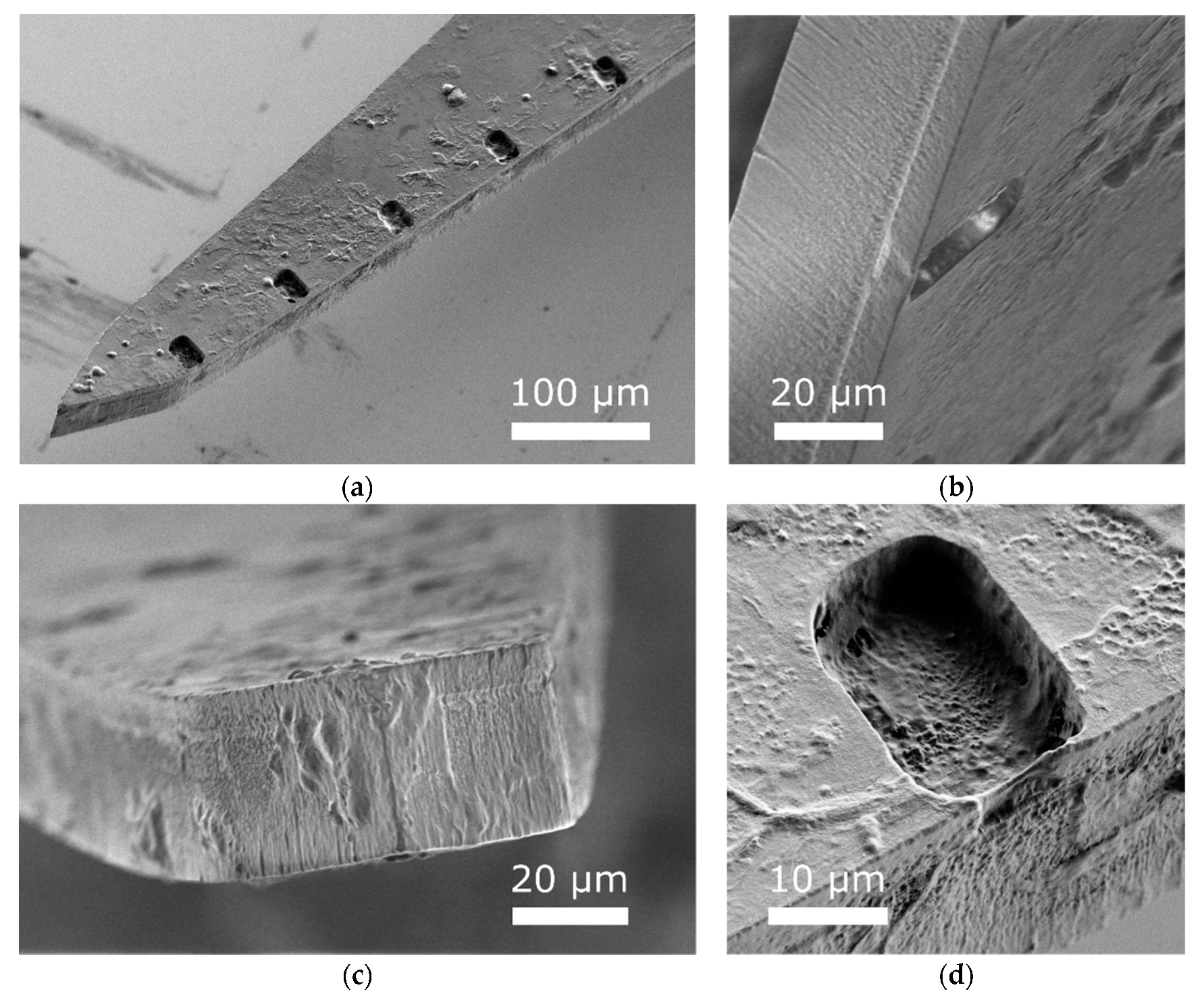 Micromachines 09 00500 g007