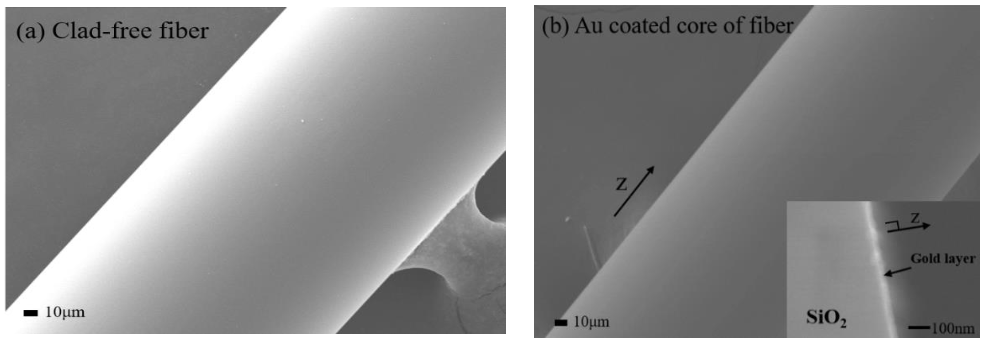 Micromachines 09 00506 g002