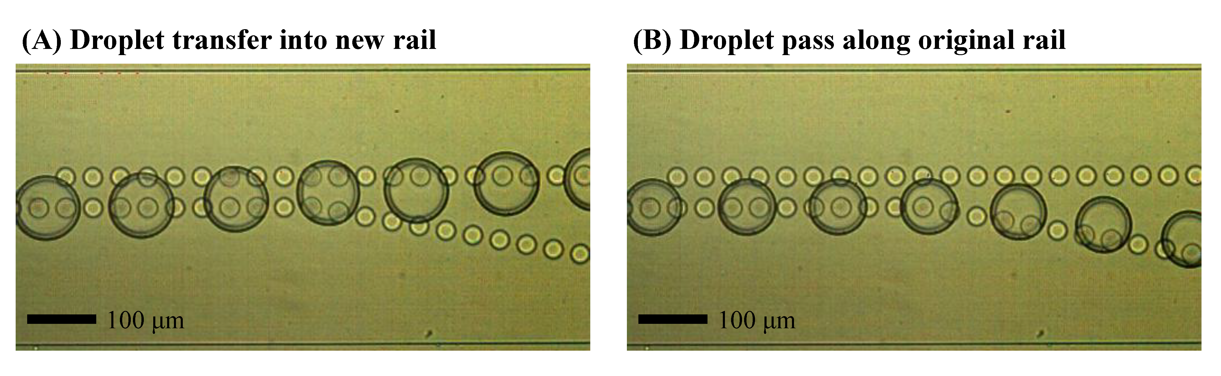 Micromachines 09 00513 g005 Micromachines 09 00513 g005