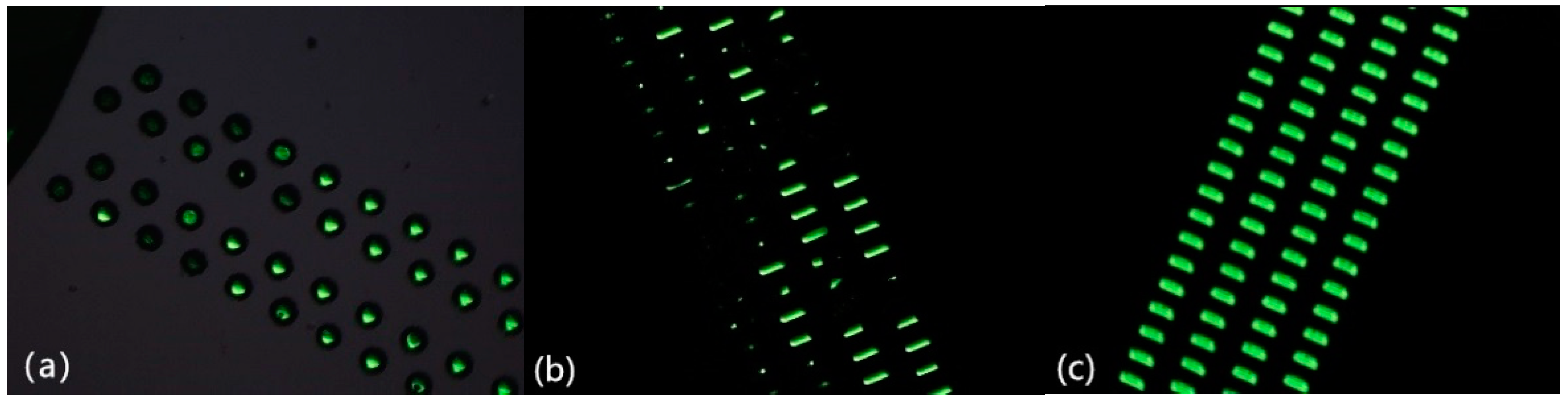 Micromachines 09 00528 g001