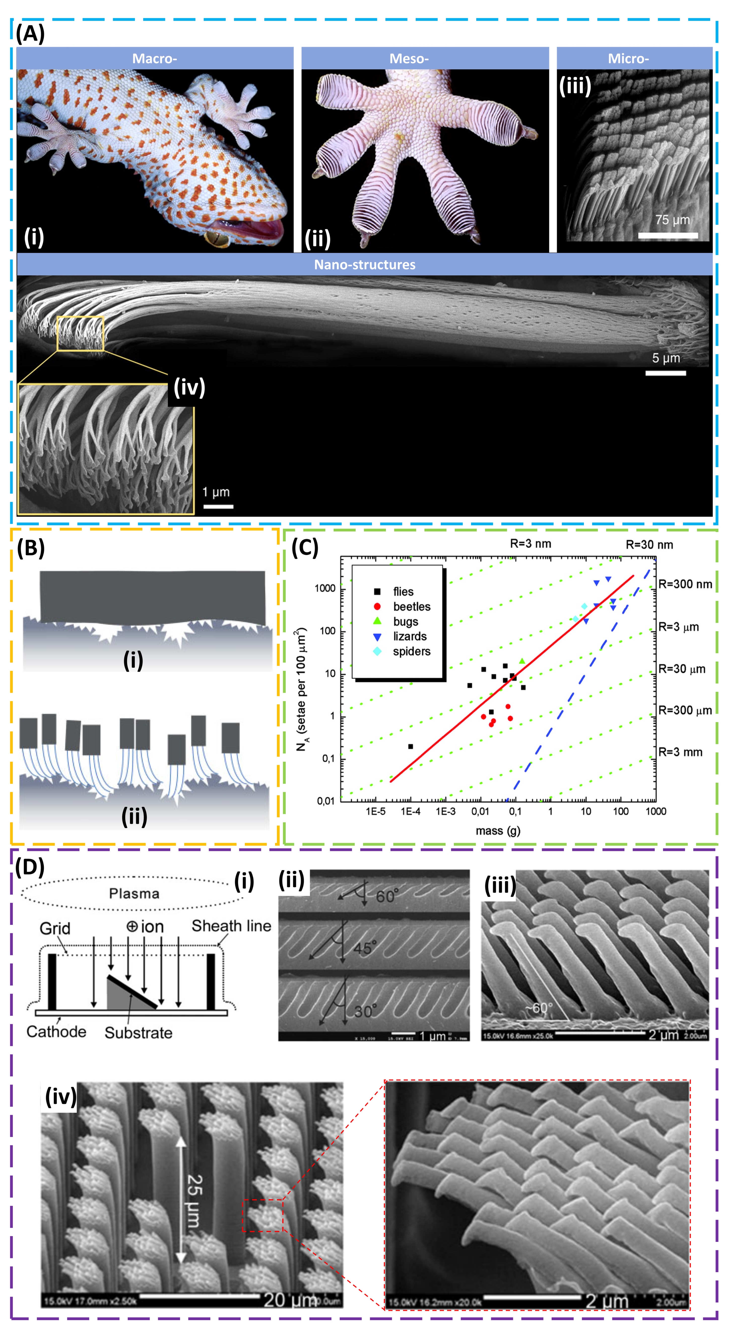 Thriller betale telefon Micromachines | Free Full-Text | Tunable Adhesion for Bio-Integrated  Devices | HTML