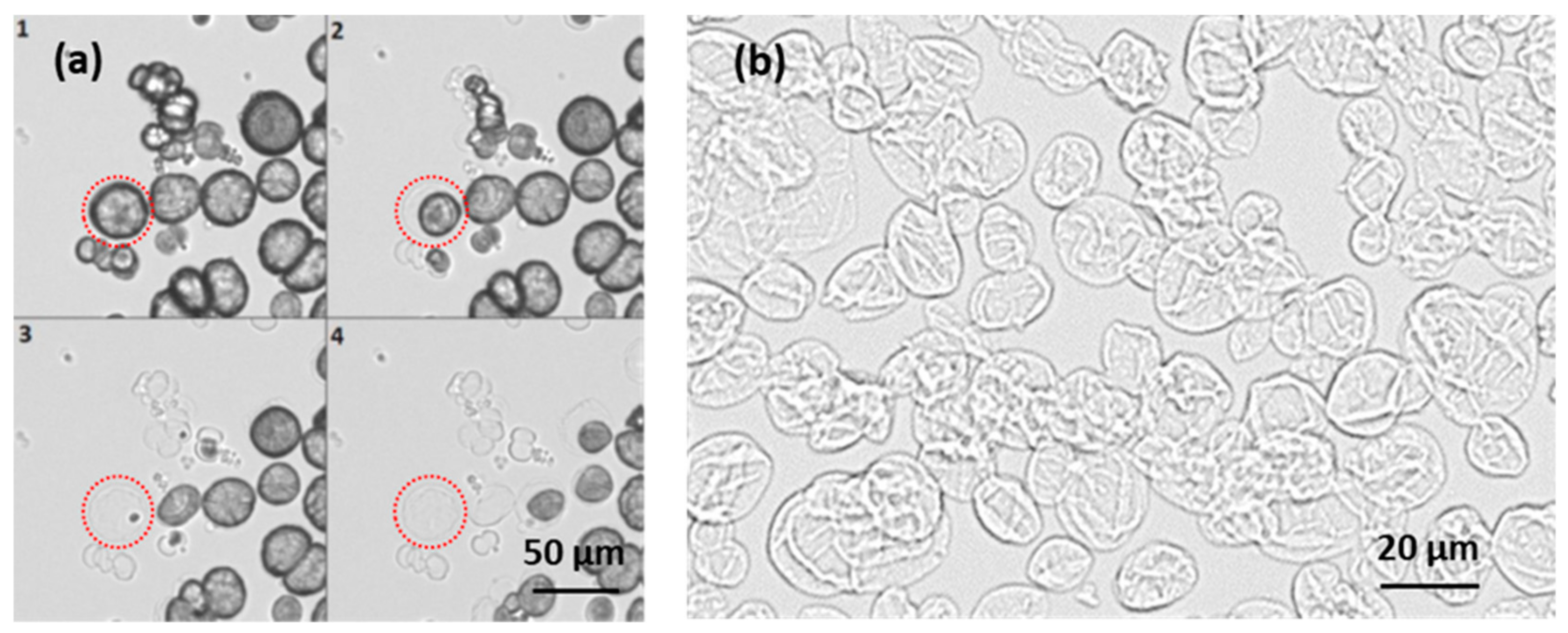 Micromachines 09 00547 g003 Micromachines 09 00547 g003