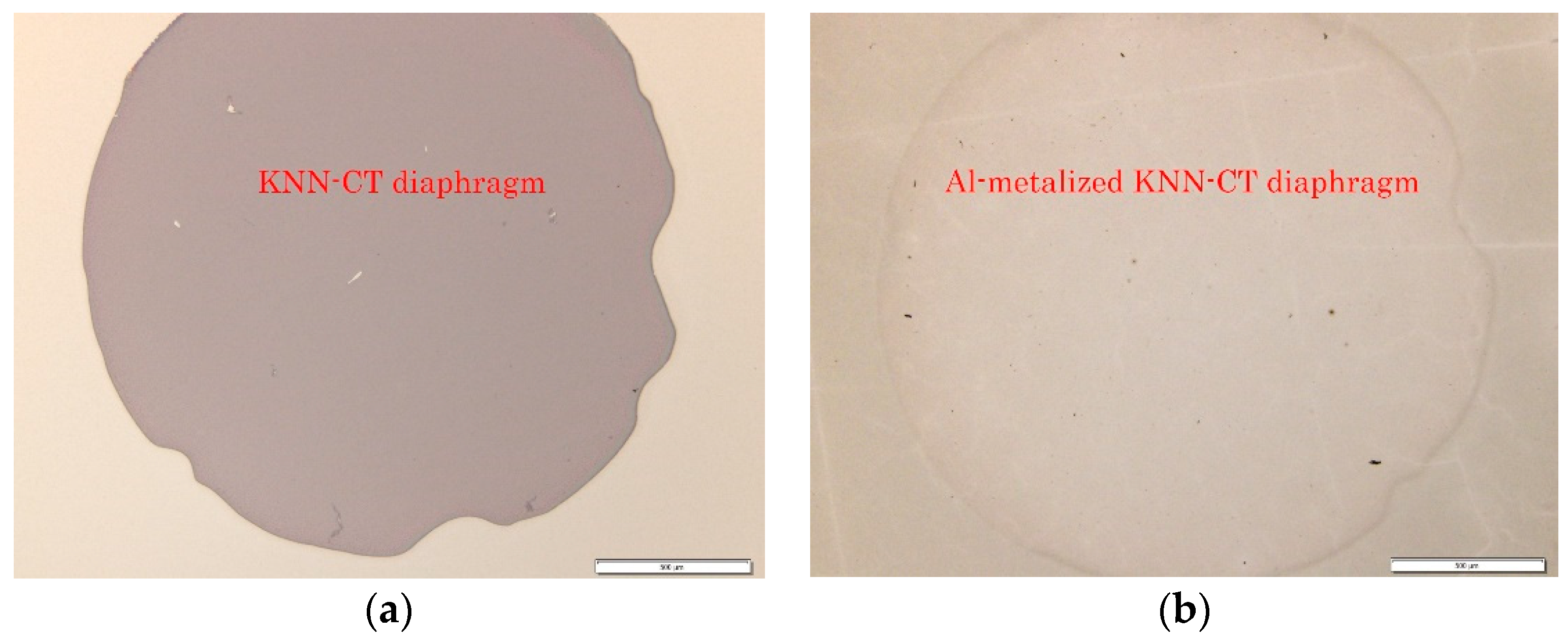 Micromachines 09 00558 g010 550