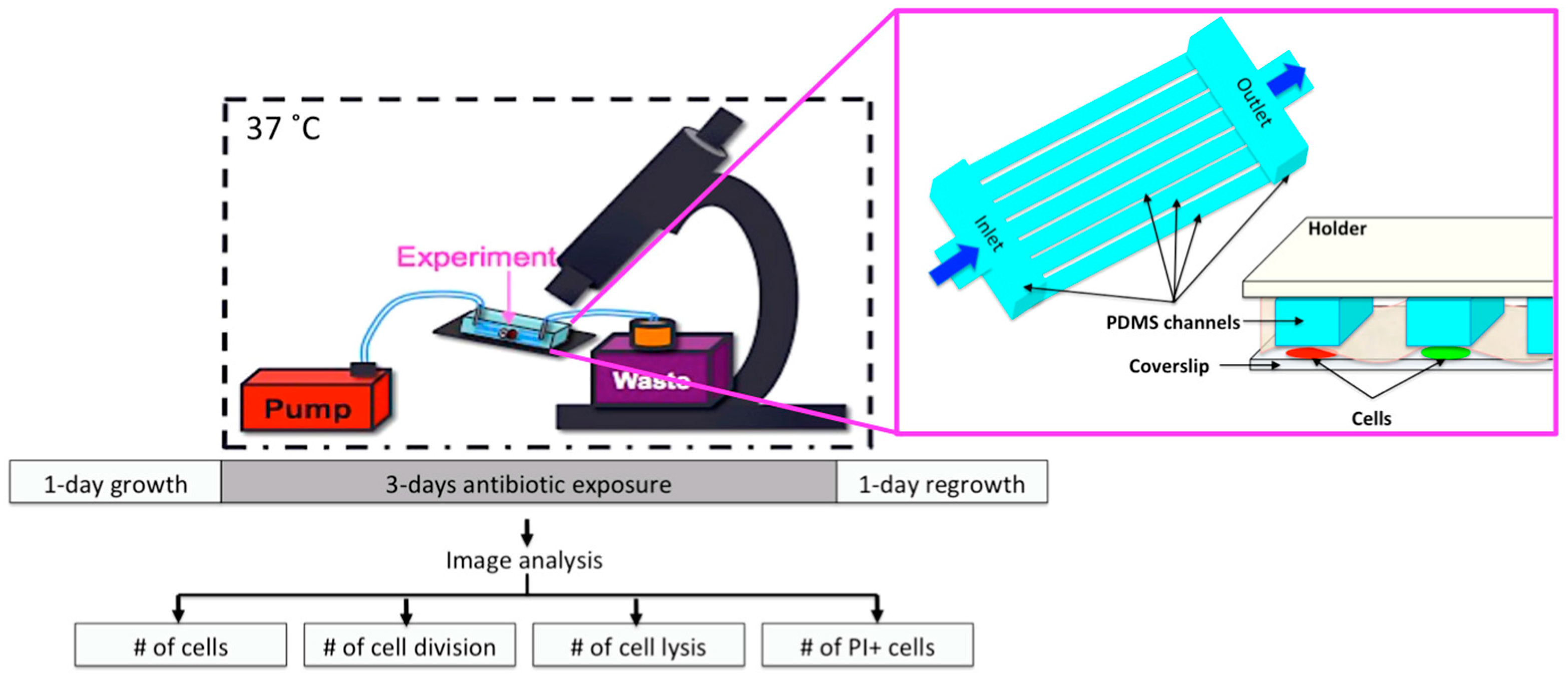 Micromachines 09 00561 g001 Micromachines 09 00561 g001