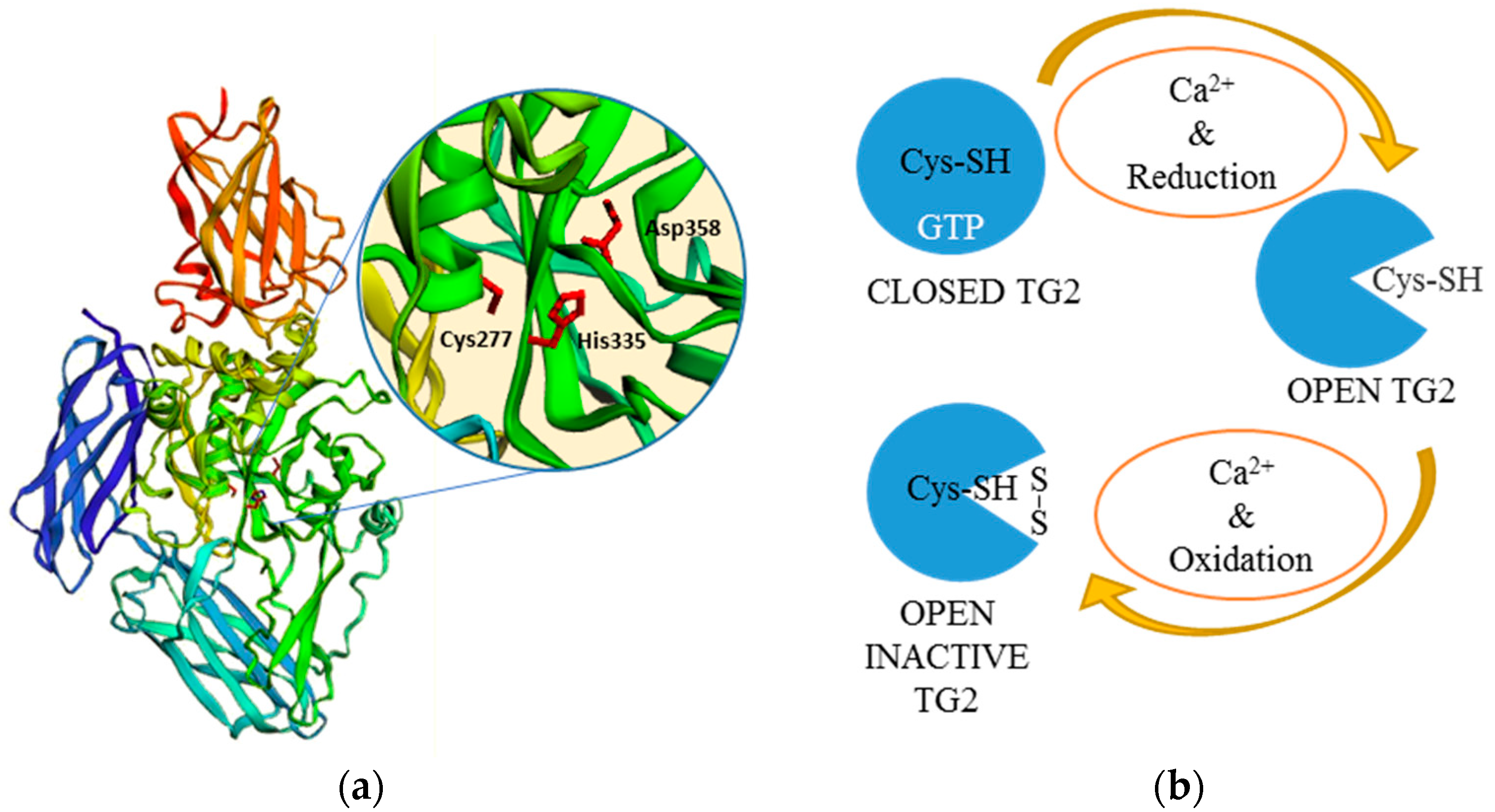Micromachines 09 00562 g002 Micromachines 09 00562 g002