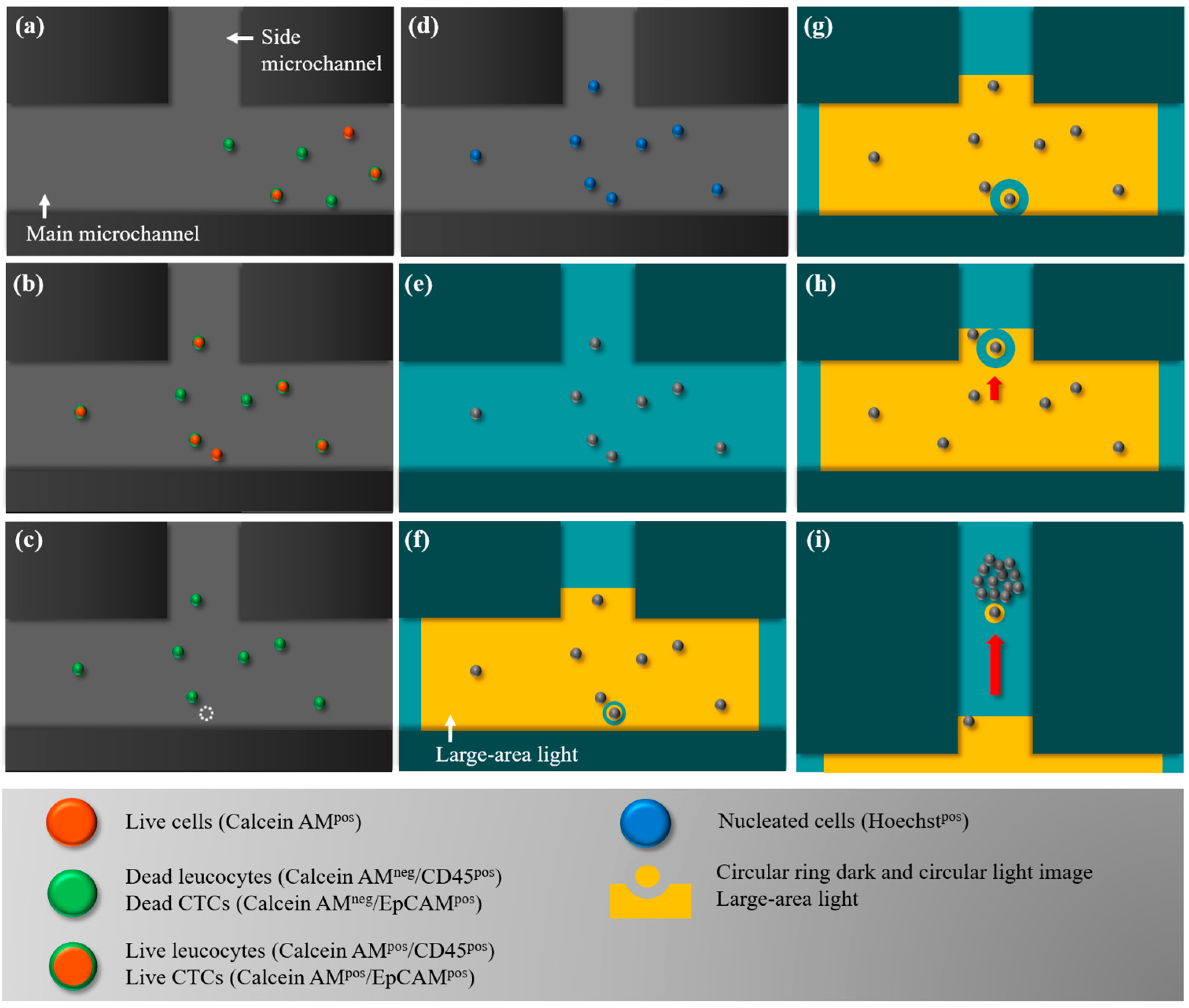 Micromachines 09 00563 g002 Micromachines 09 00563 g002