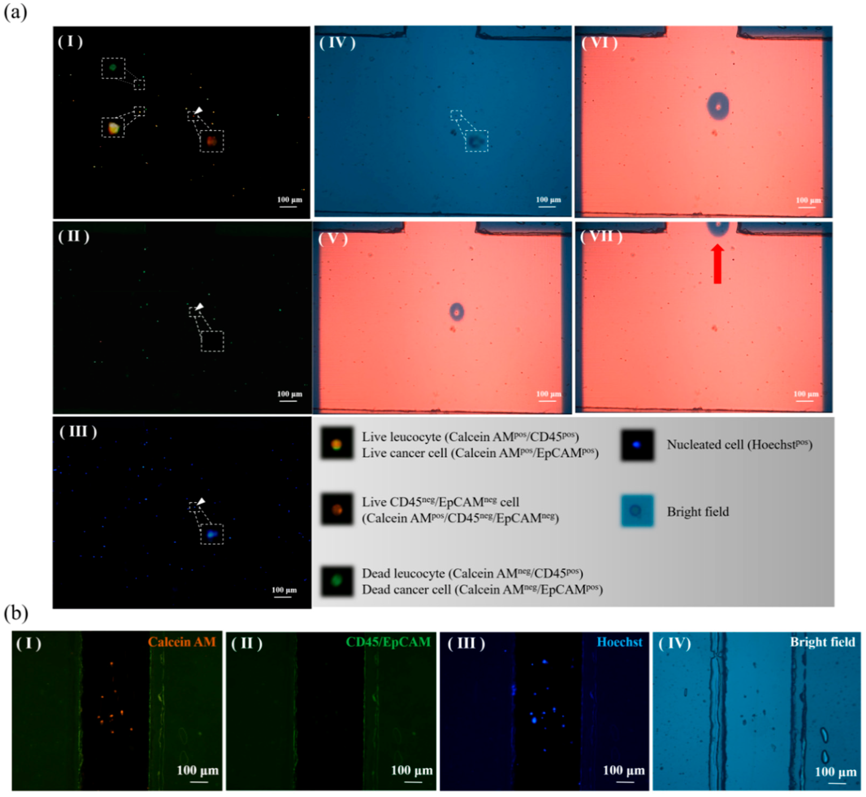Micromachines 09 00563 g005 Micromachines 09 00563 g005