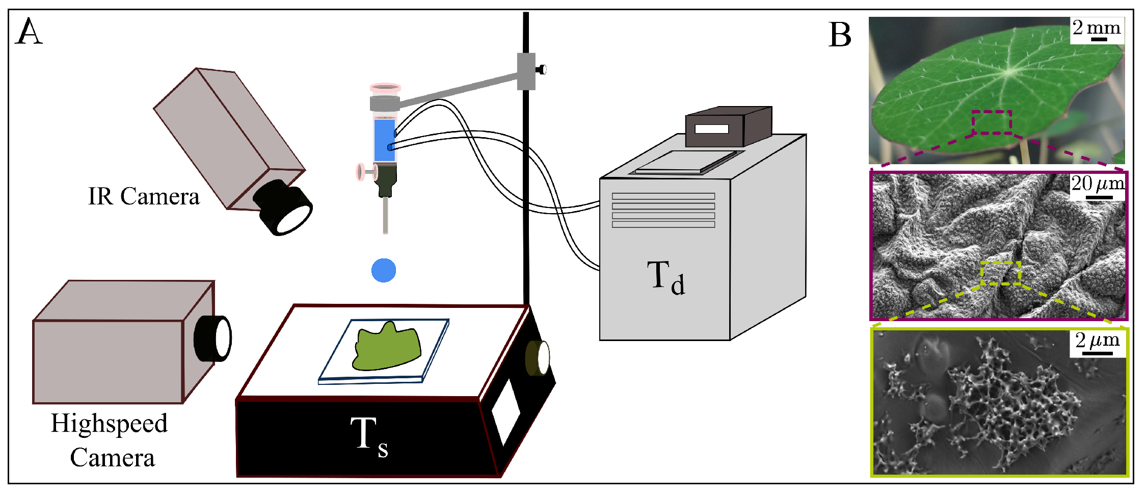 Micromachines 09 00566 g002