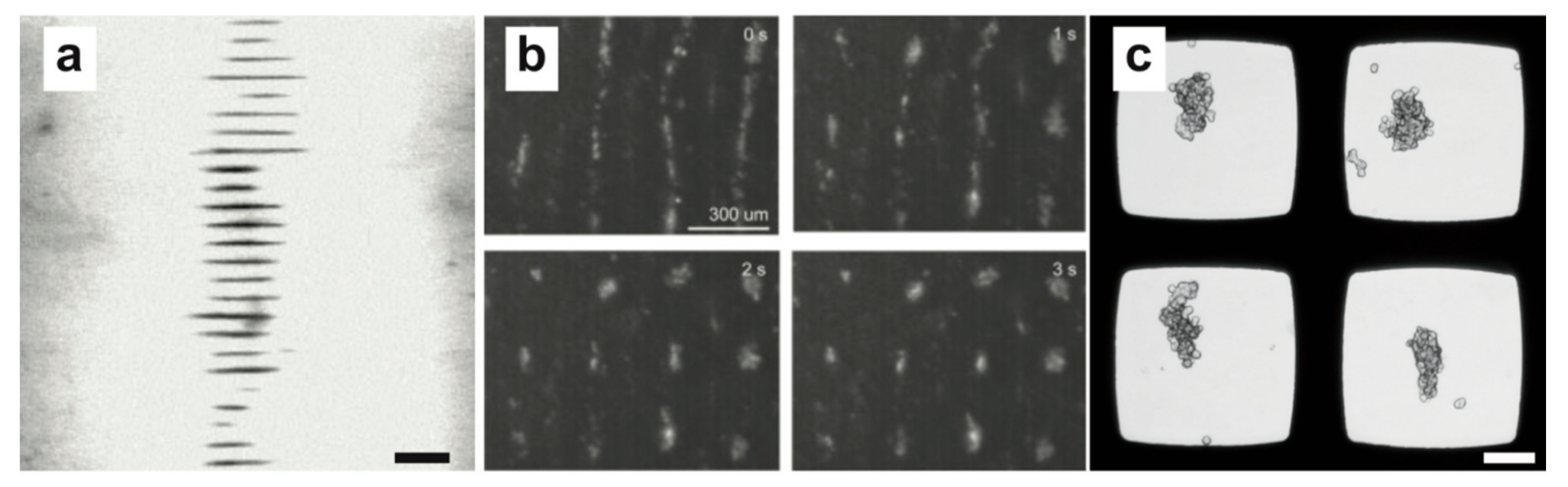 Micromachines 09 00594 g003