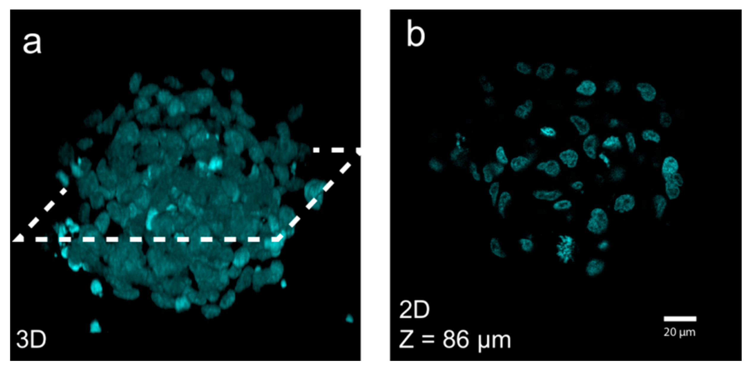 Micromachines 09 00594 g006