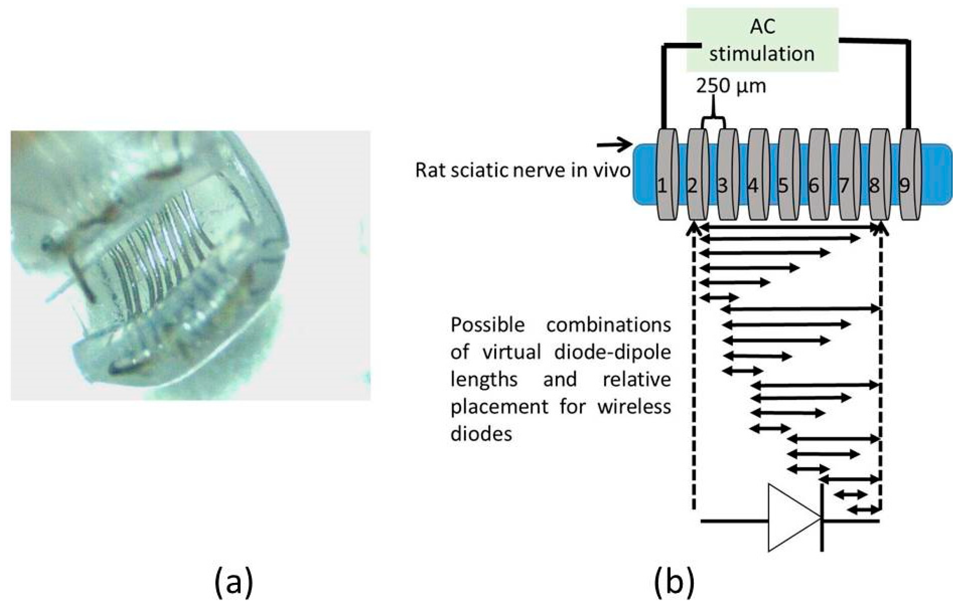 Micromachines 09 00595 g003