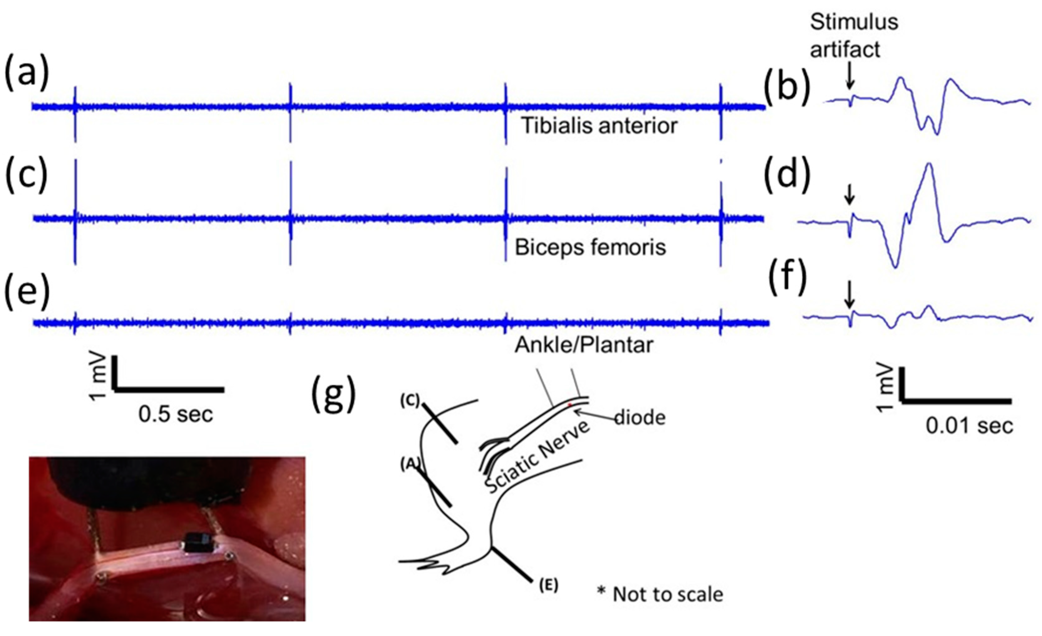 Micromachines 09 00595 g006