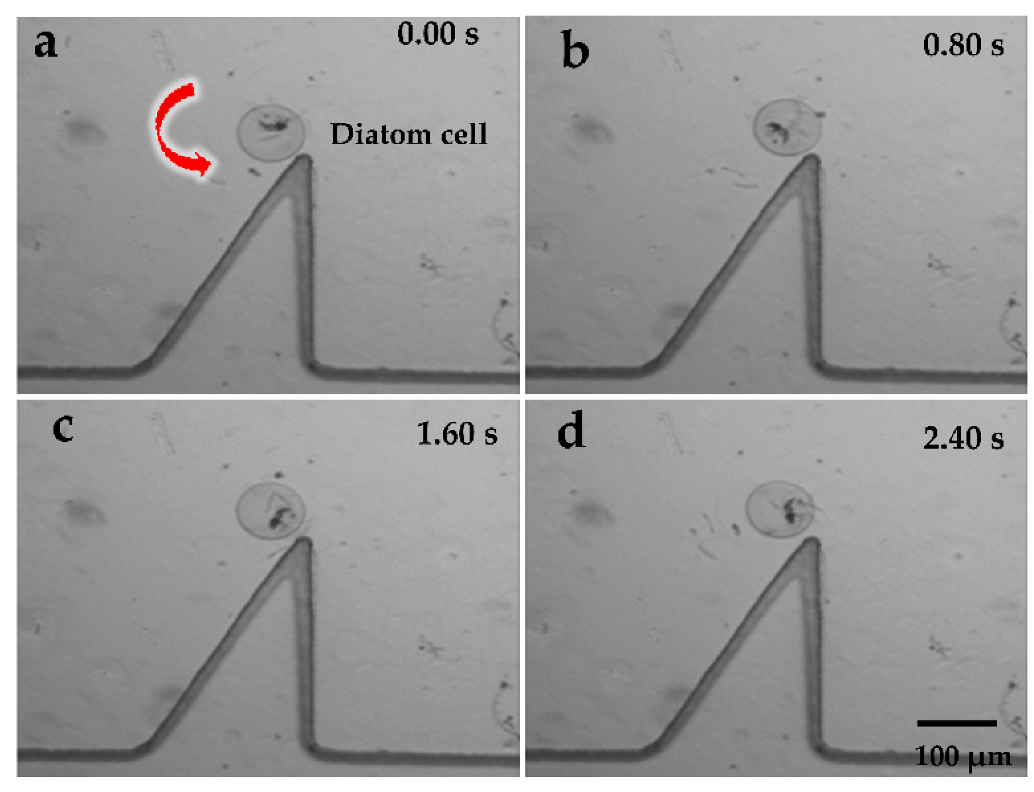 Micromachines 09 00596 g007