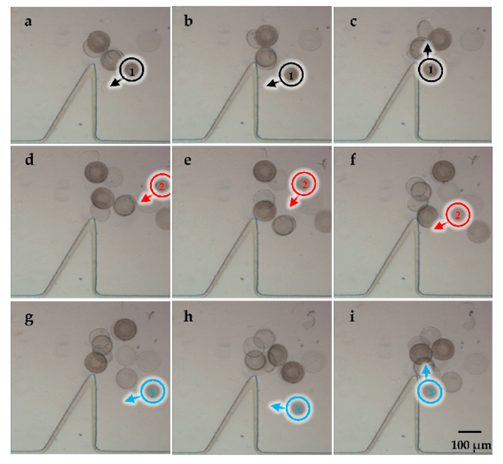 Micromachines 09 00596 g010