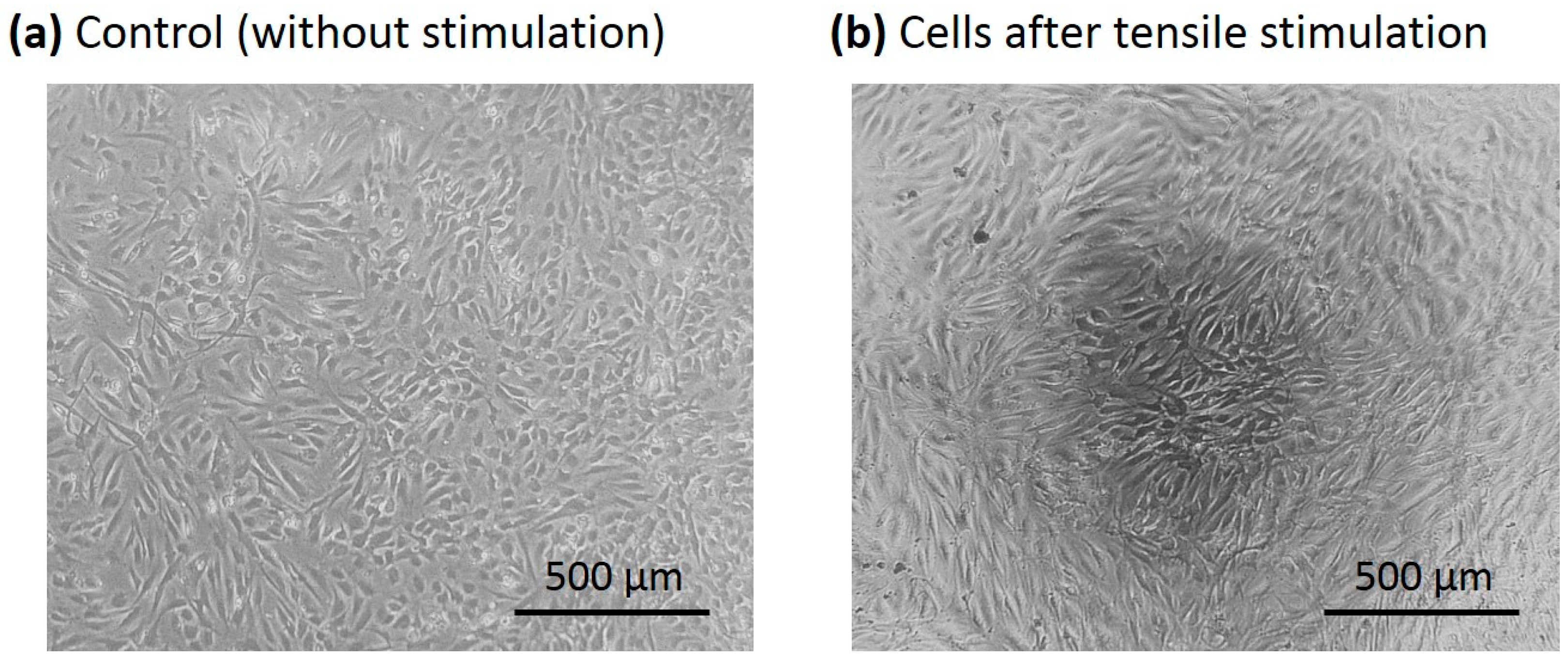 Micromachines 09 00607 g008 Micromachines 09 00607 g008