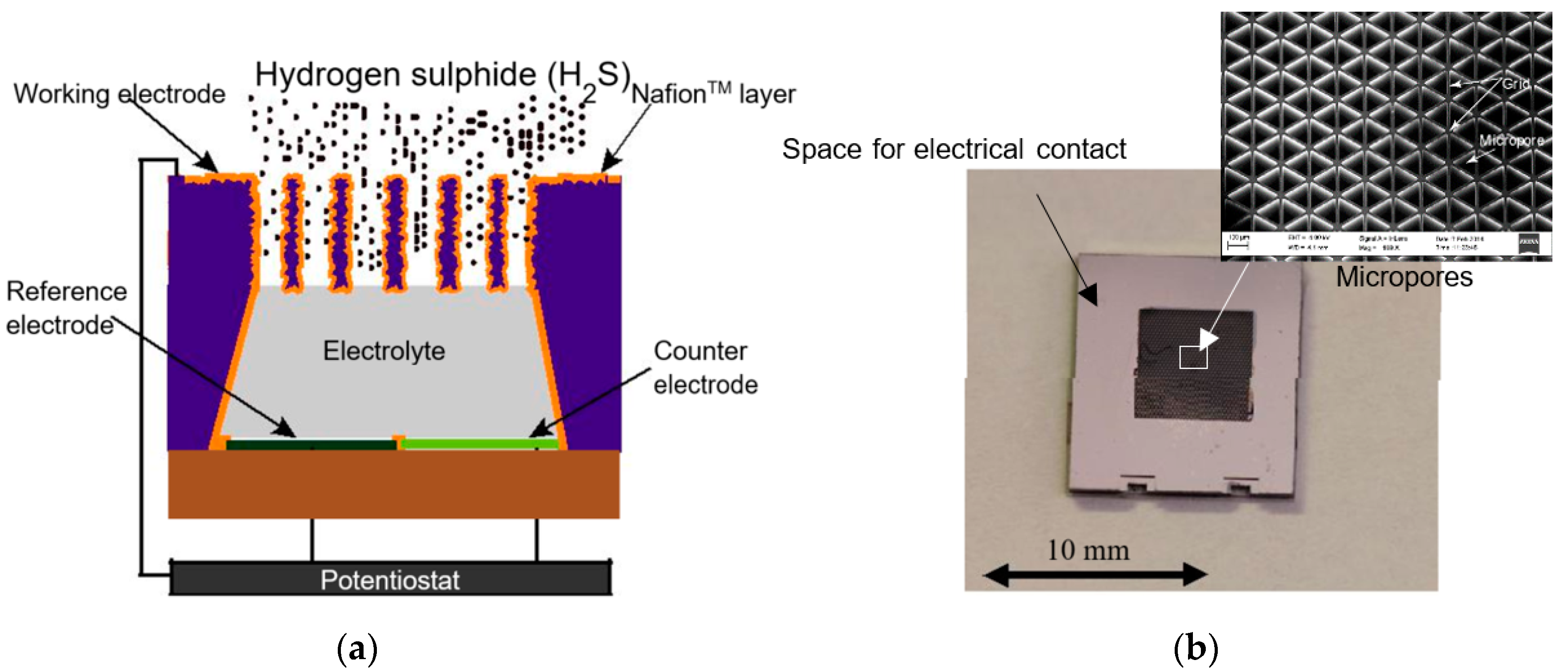 Micromachines 09 00612 g001