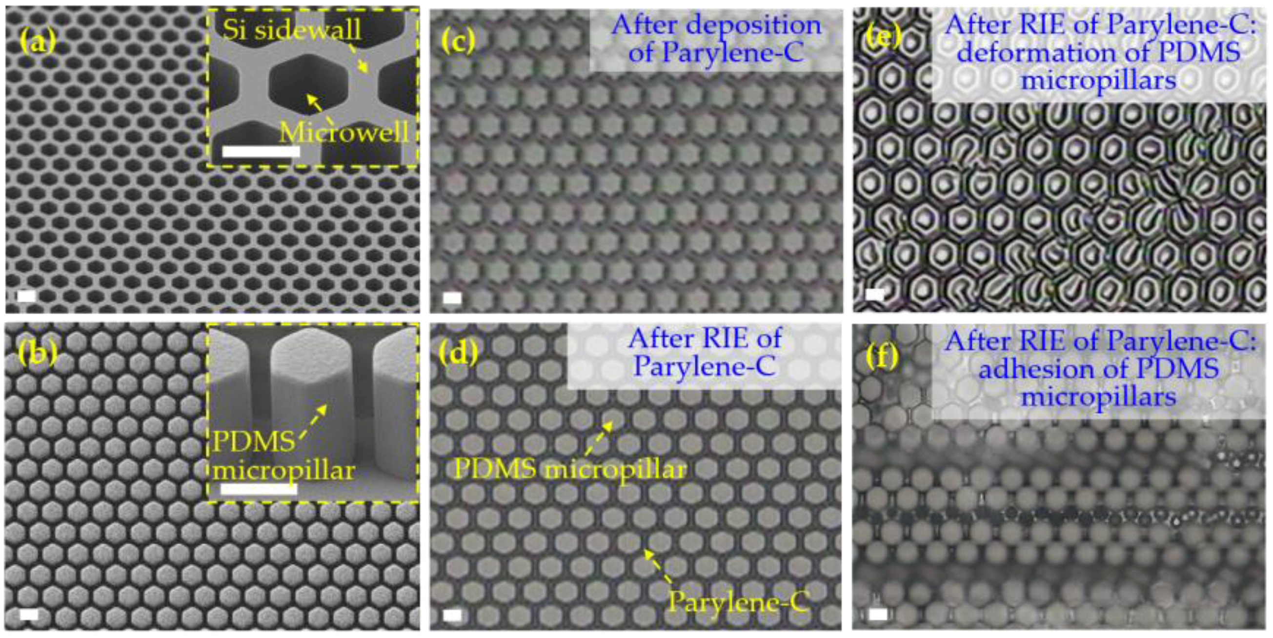 Micromachines 09 00620 g005 Micromachines 09 00620 g005